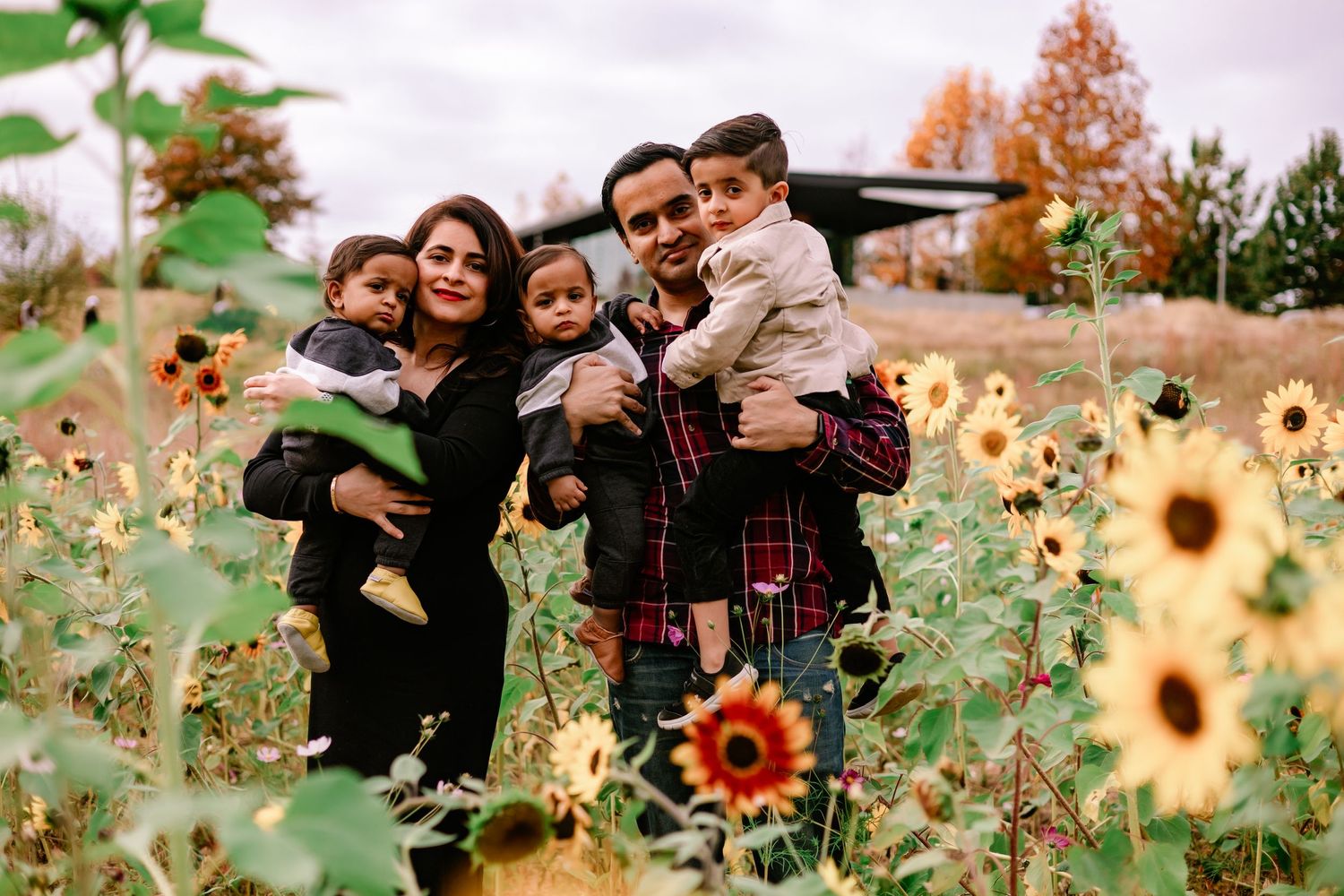 Family of five with two toddlers posing in vibrant sunflower field during autumn family portrait.