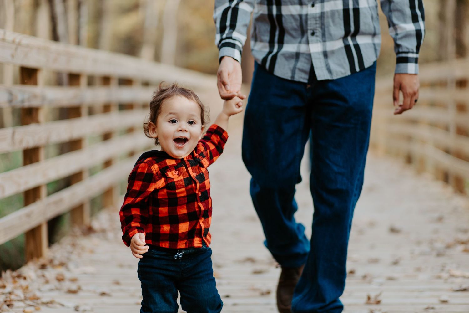 Happy toddler in red plaid shirt holding an adults hand on a fall wooden bridge.