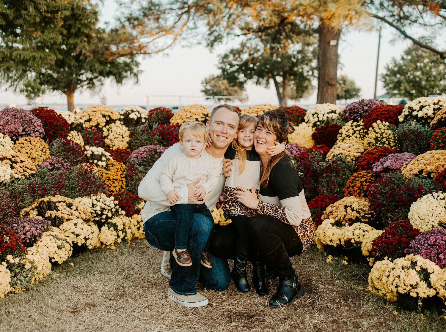 Family of four posing among colorful fall mums in red, yellow, and purple during an autumn outdoor photo session.