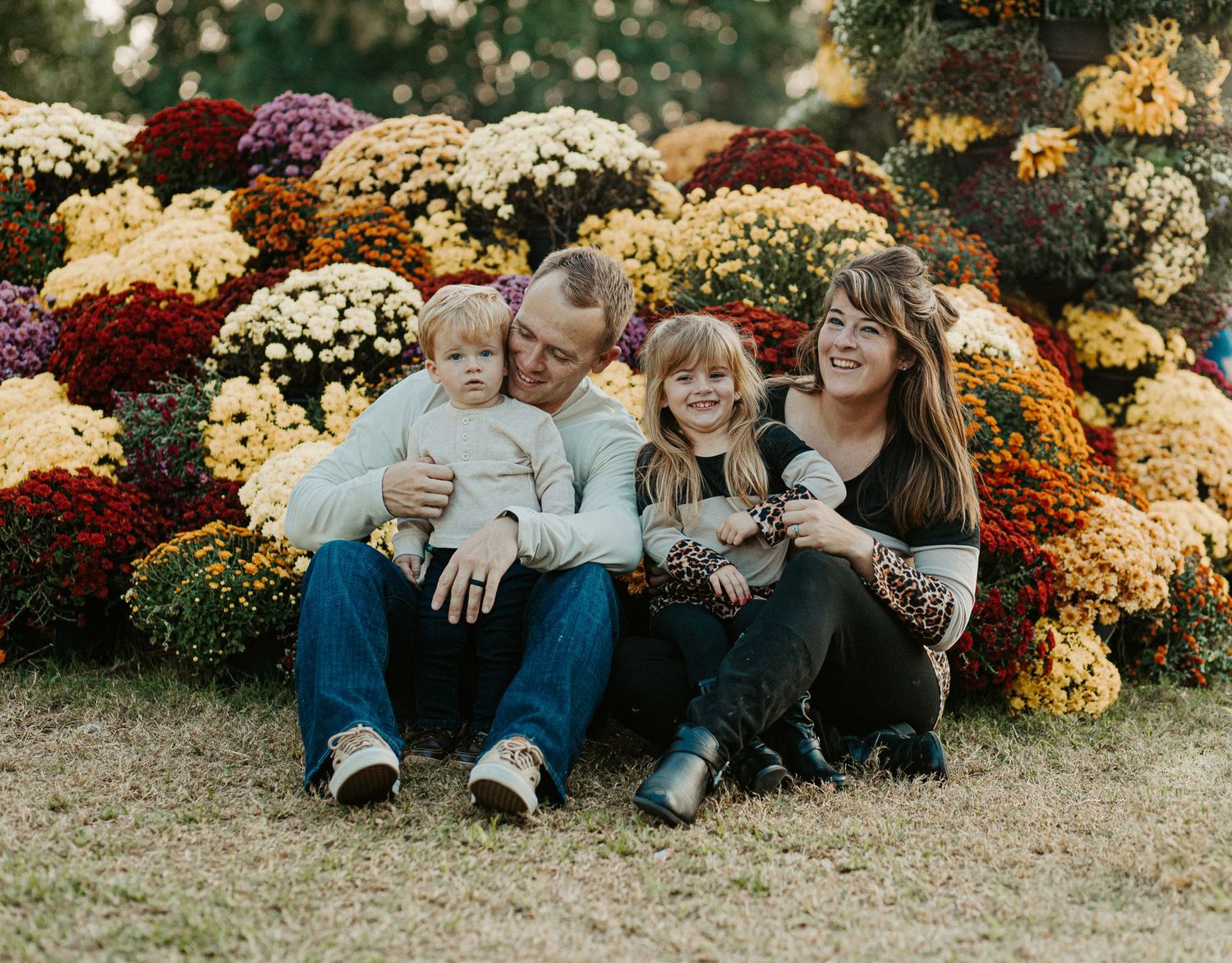 Family of four sitting together on grass in front of colorful autumn mums during an outdoor fall photo shoot.