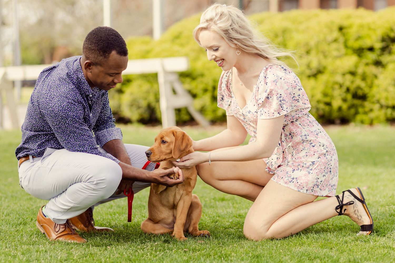 Couple smiling and petting a golden retriever puppy on a leash outdoors on green grass.