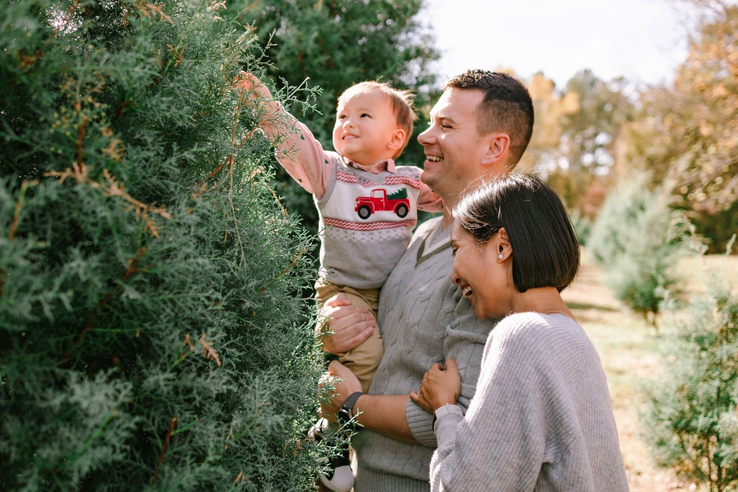 Smiling father holding baby reaching for evergreen branches at a Christmas tree farm with mother nearby.