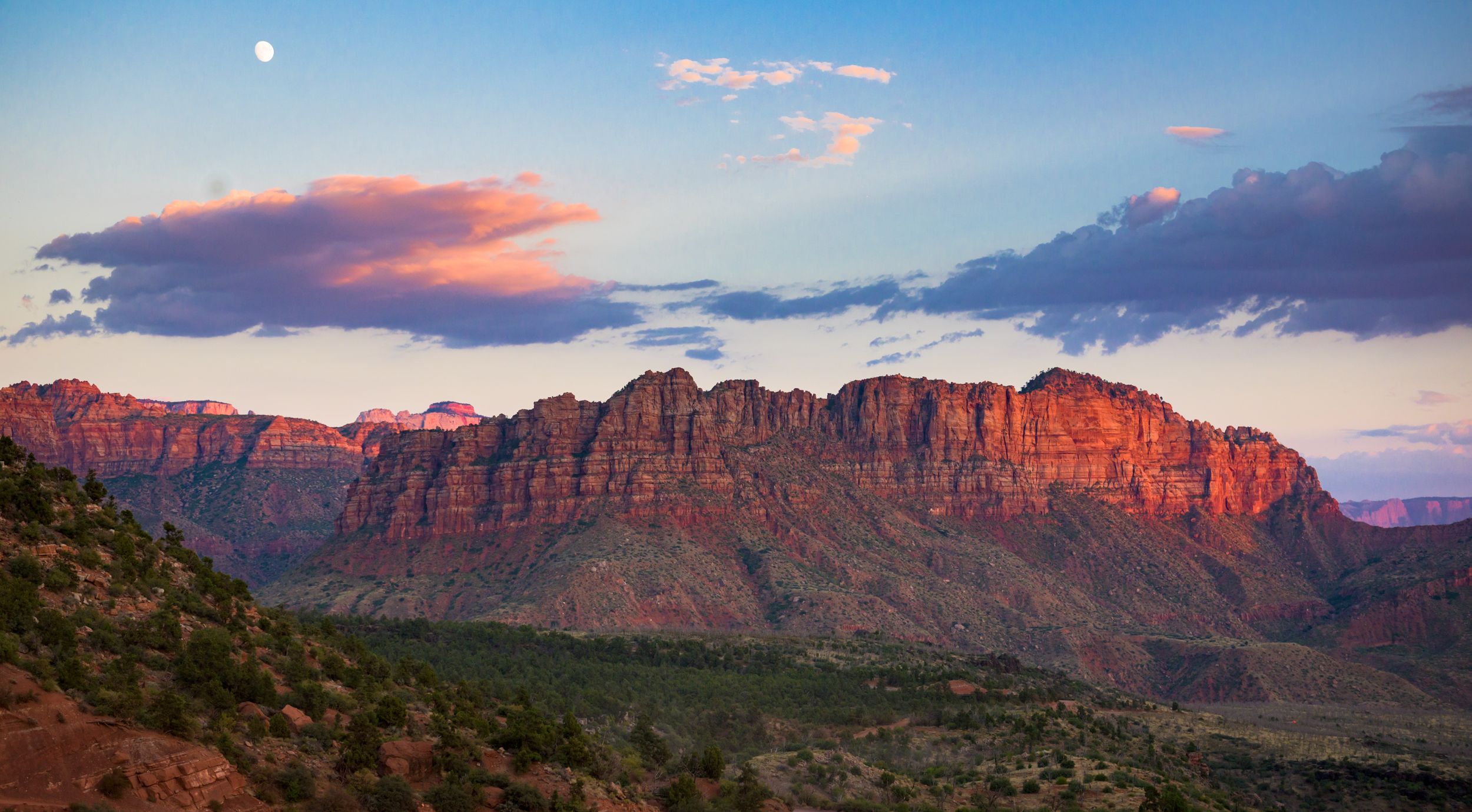 Travel Lewis Loves Lewis