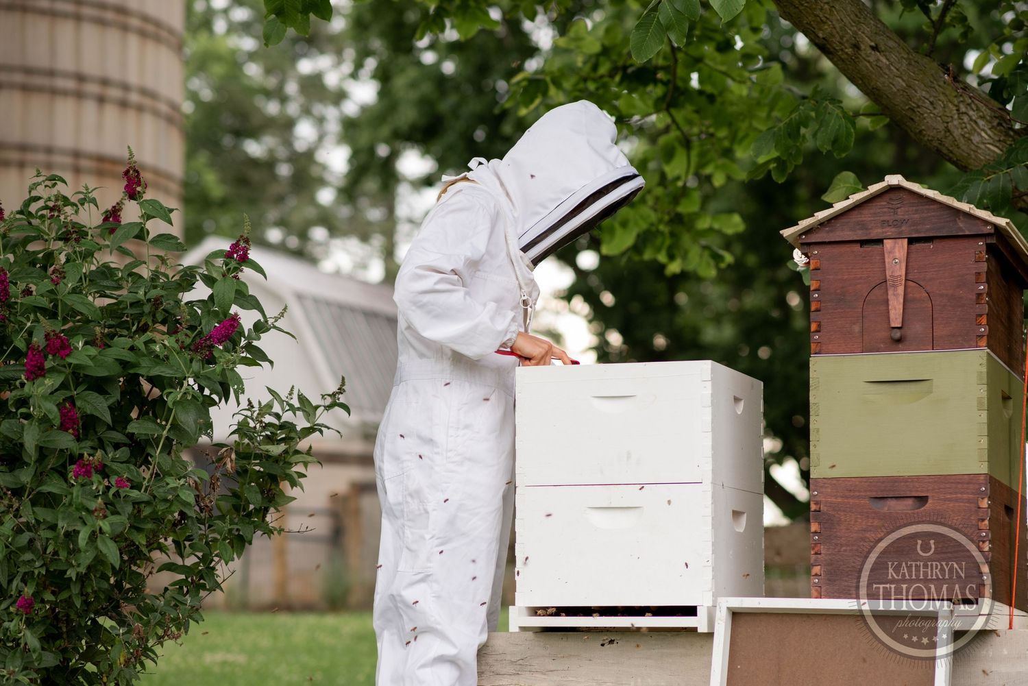 A beekeeper in protective white suit tends to white beehives in a garden setting.