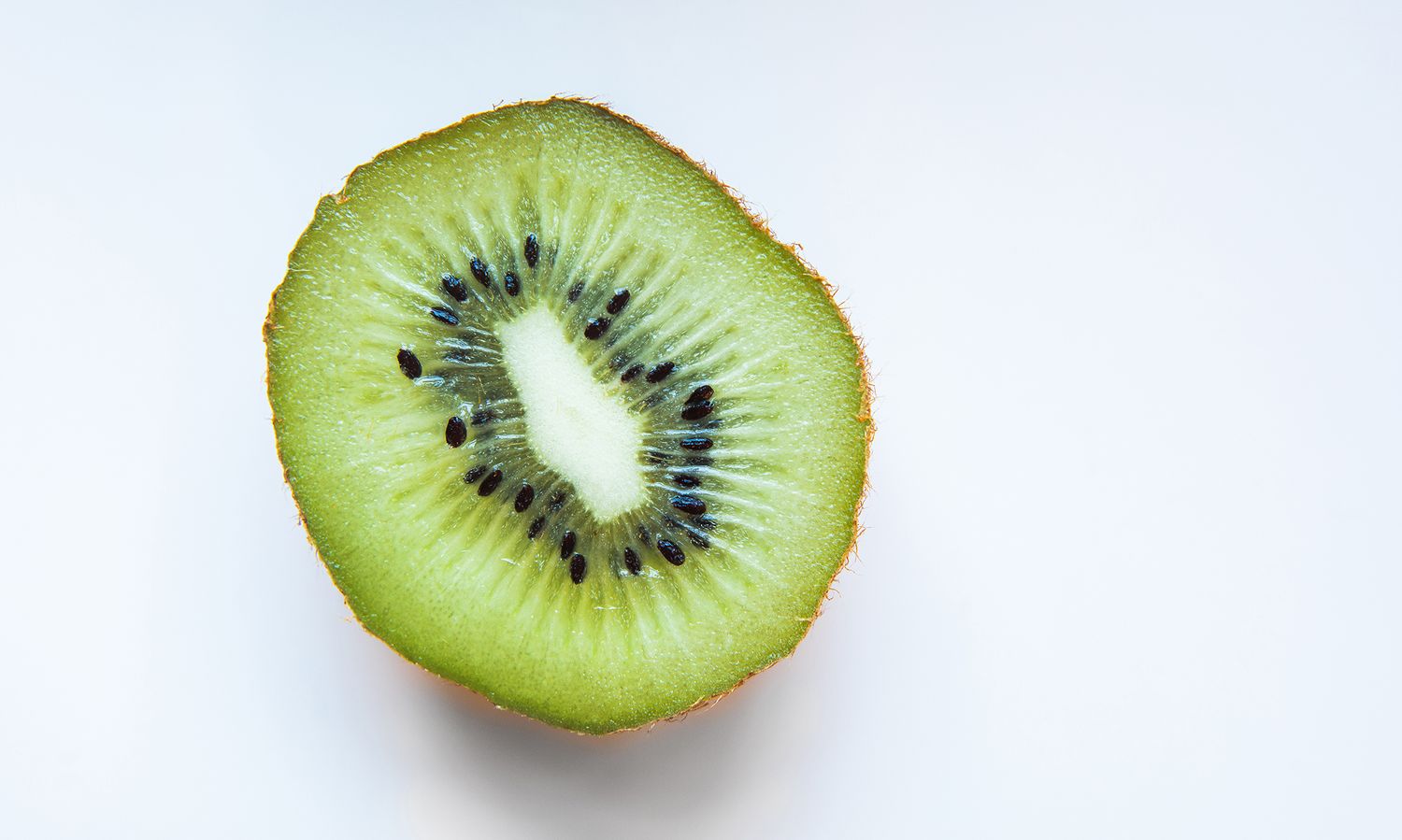 Fresh kiwi fruit slice on white background showing distinctive black seeds and green flesh.