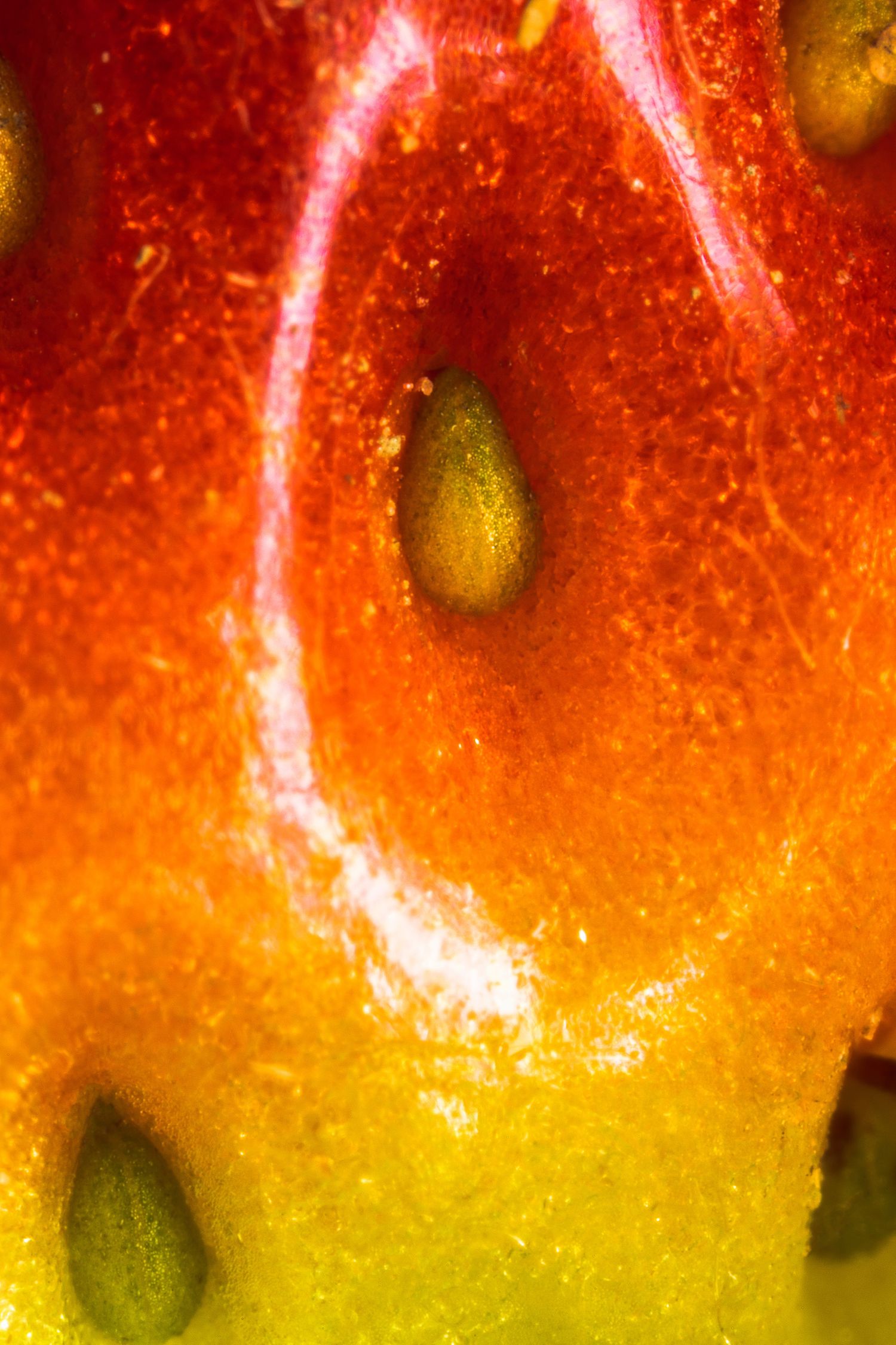 Abstract macro photograph of watermelon flesh showing vibrant red and yellow gradients.