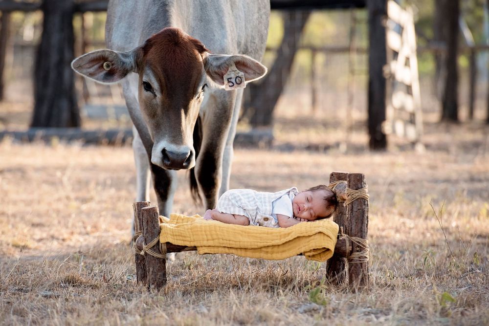 newborn photographer rockhampton