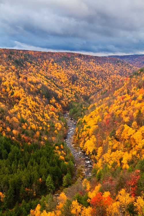 Blackwater Canyon in Autumn with falls colors and clouds, West Virginia
