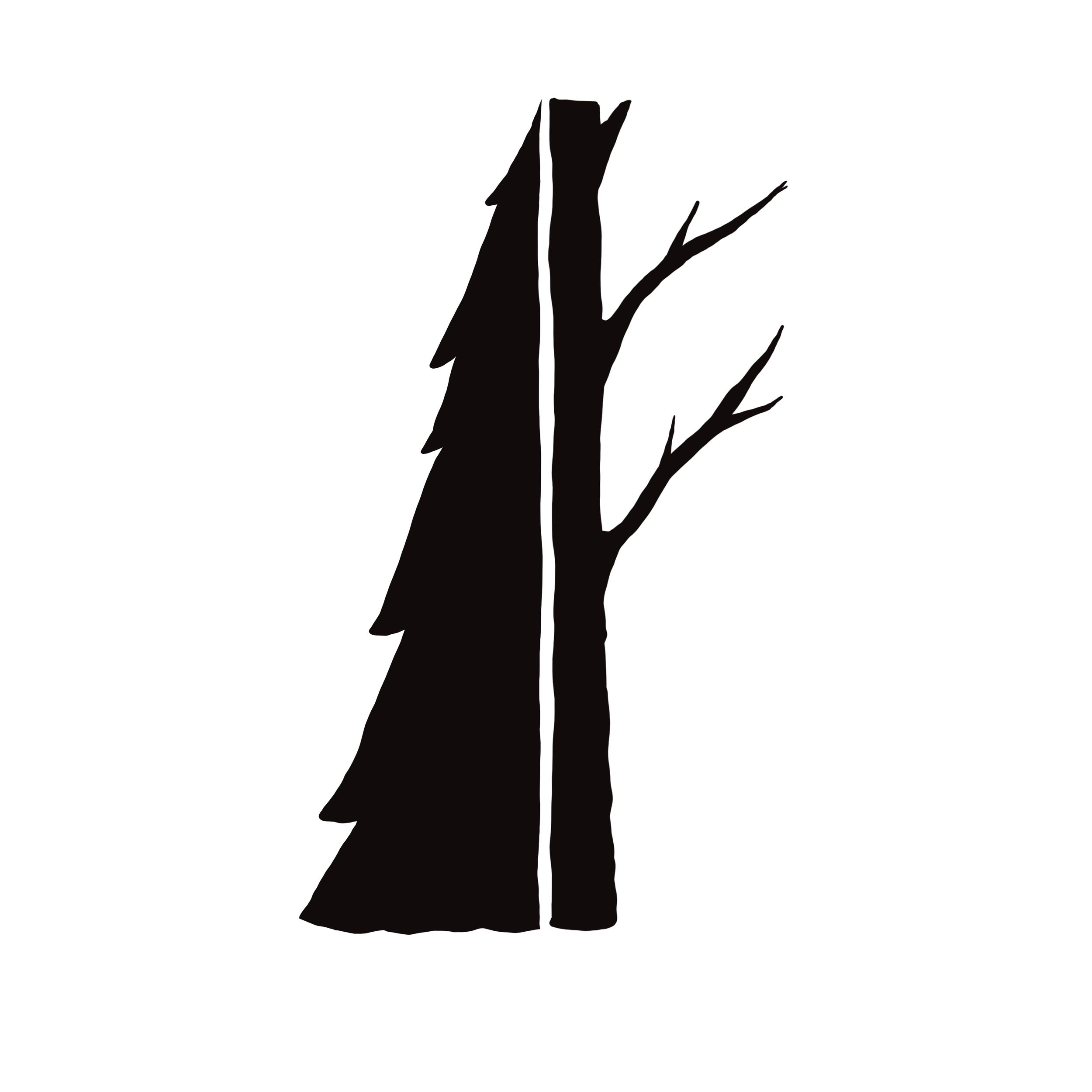 Black silhouette illustration of two contrasting trees, one evergreen and one bare deciduous, side by side.