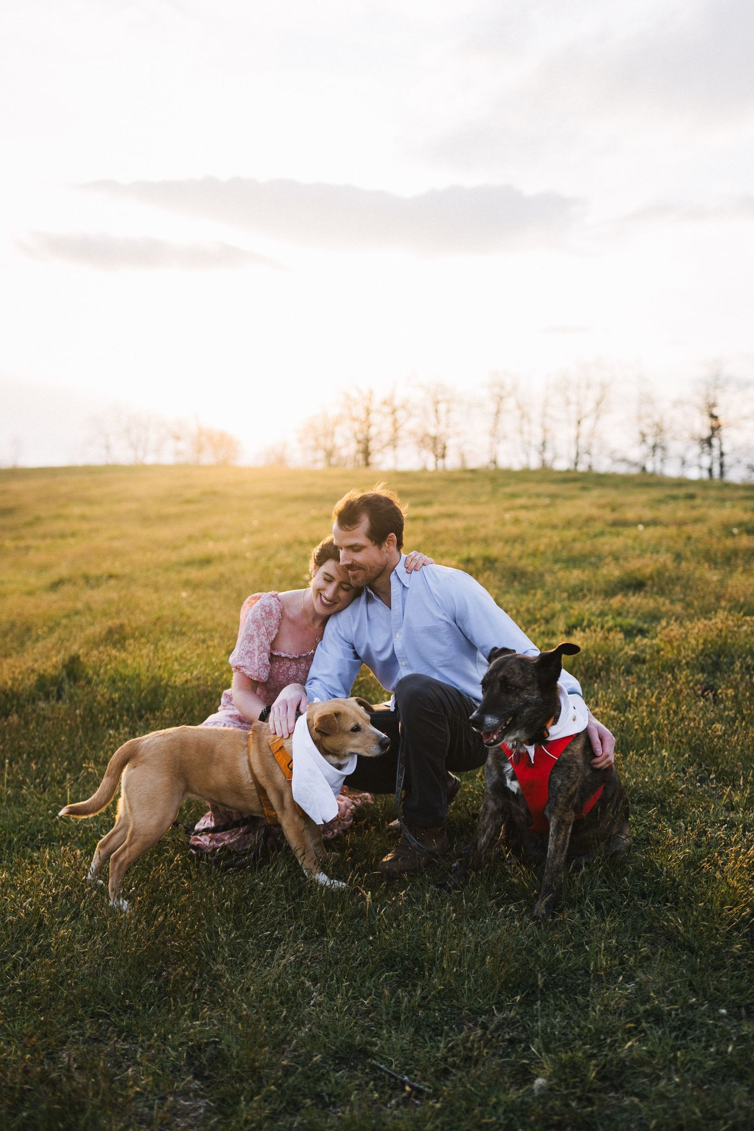 A couple with their dogs in the Asheville nc mountains doing their engagement photos