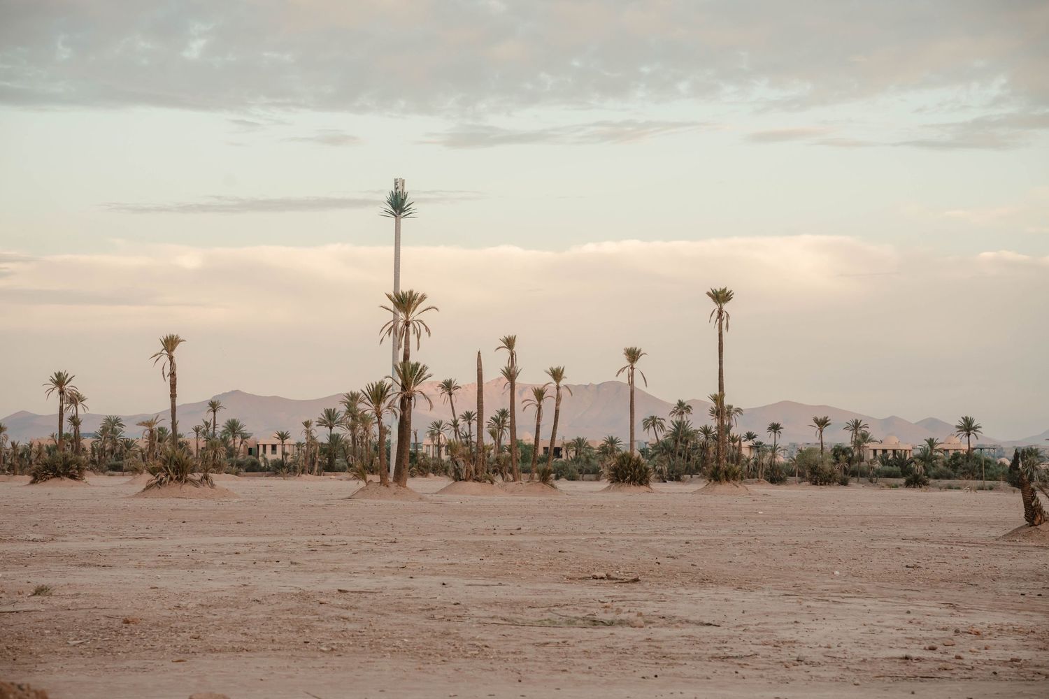 Zara Davis Wedding Photography Destination Elopement Maroc Morocco Marrakech Atlas Mountains