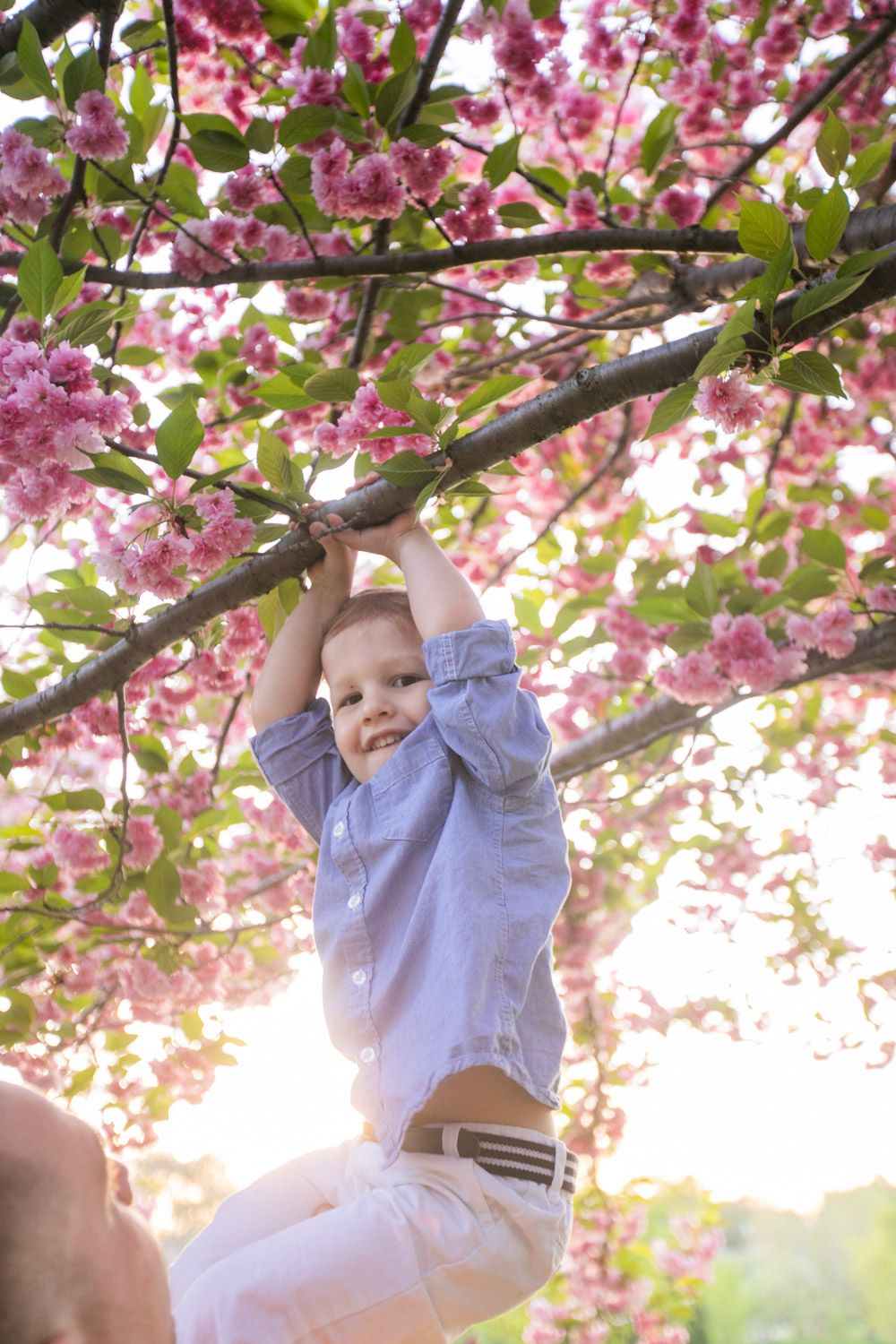 #PAChildrensPhotographer #LehighValleyFamily #PAFamilyPhotographer #MaternityPortraits #PAFamily  #SeaIsleCityPhotograph
