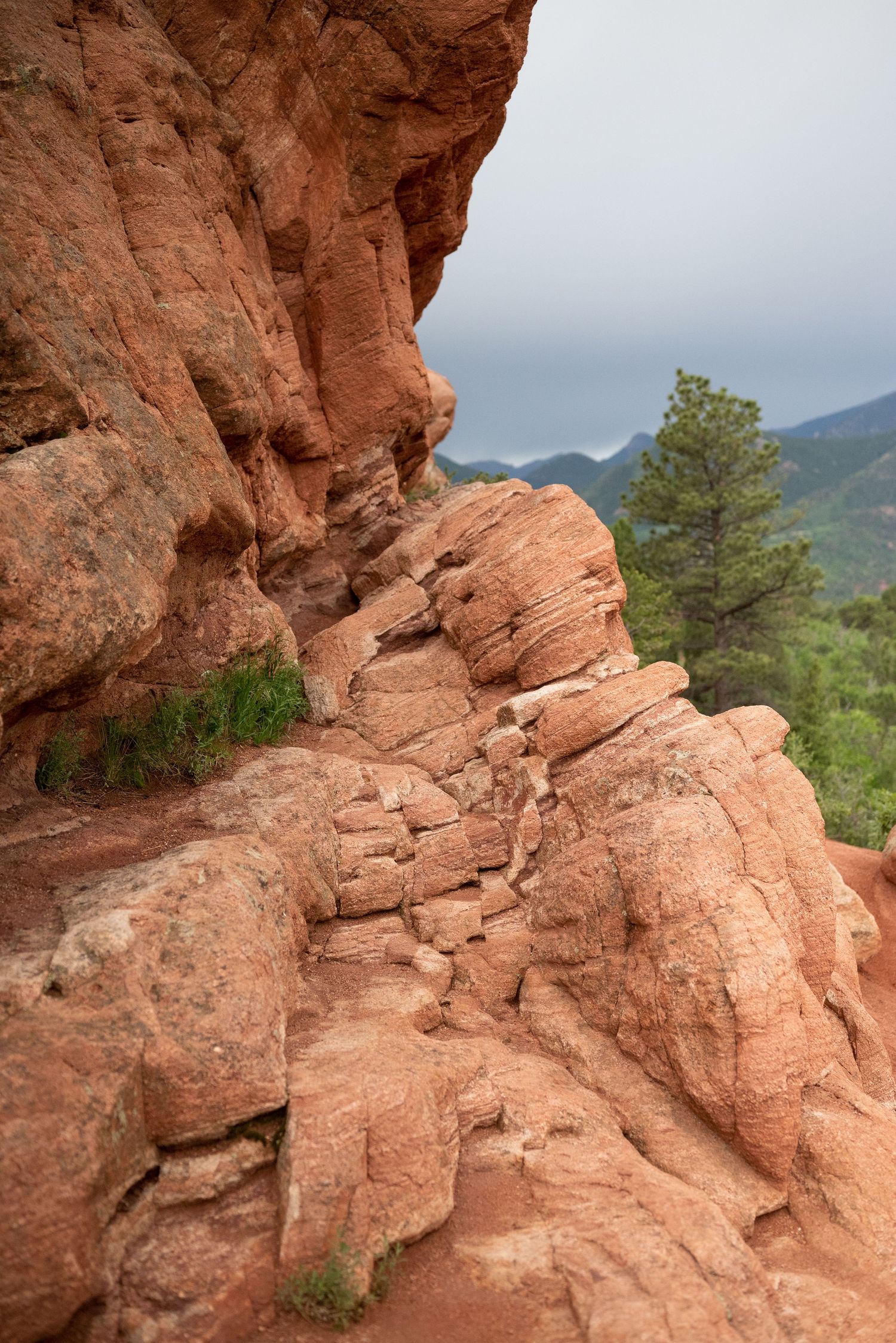 Scouting for a family photoshoot at Garden of the Gods