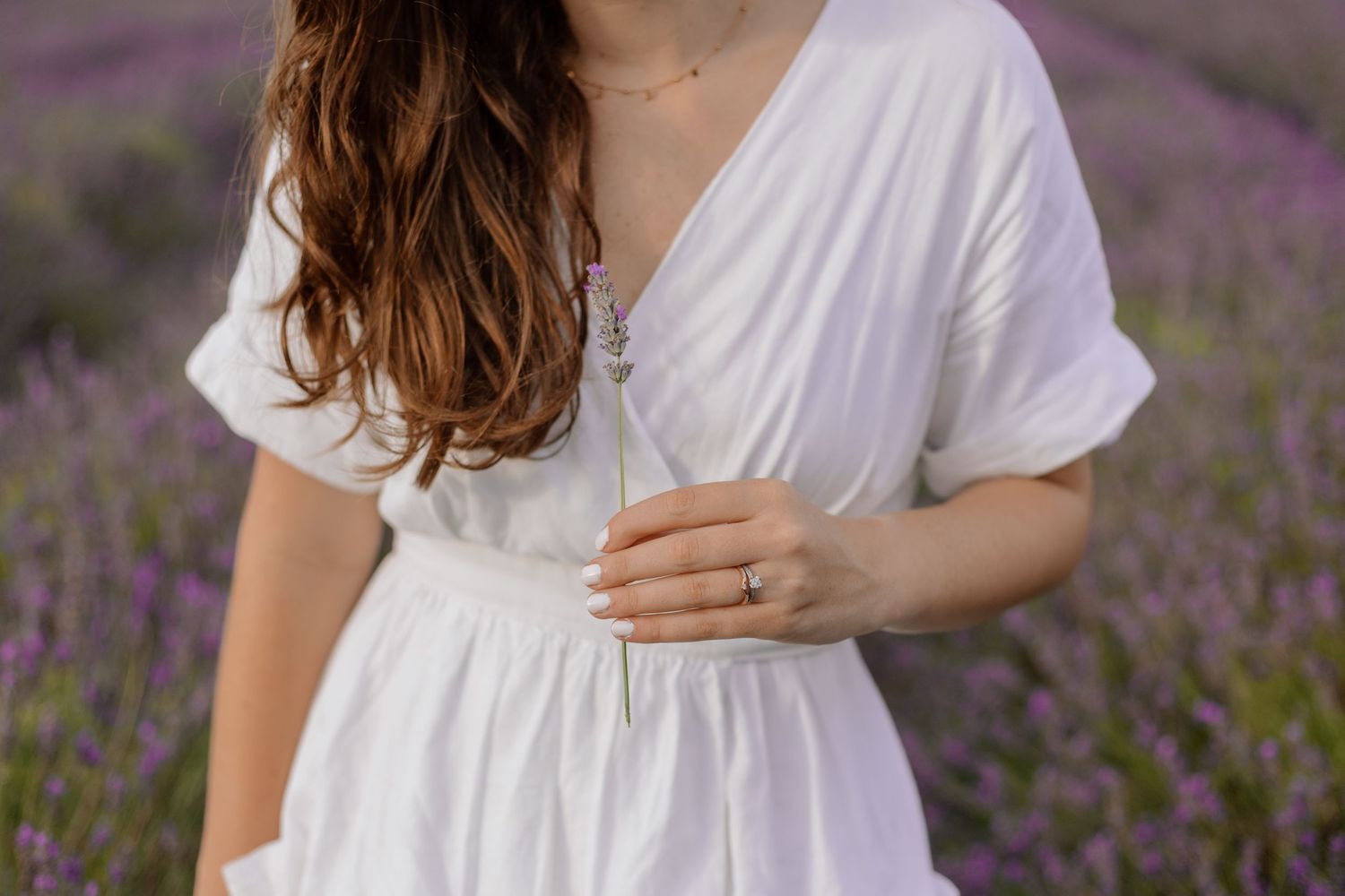 Close up detailed portrait of a girl holding a sprig in a lavender field in Hitchin, England