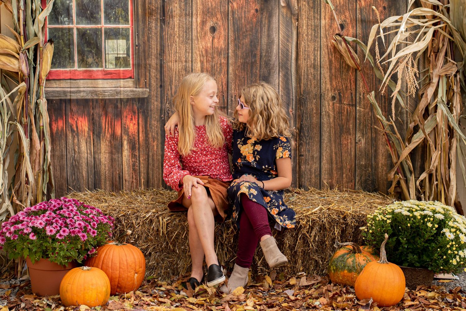 fall mini session with sisters sitting on a hay bale with pumpkins and mums
