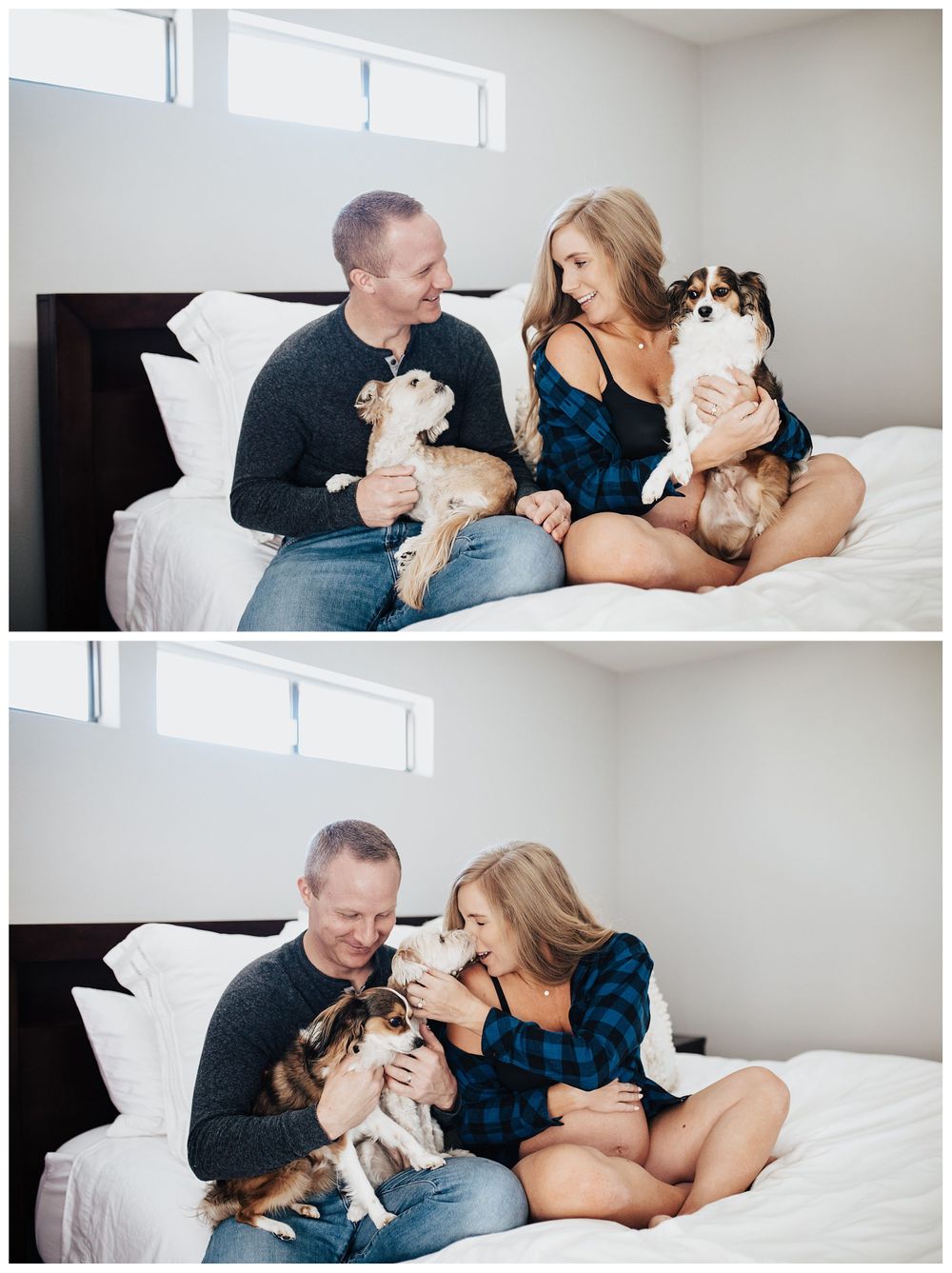 maternity photos with dogs, lifestyle maternity photos, dogs in maternity photos