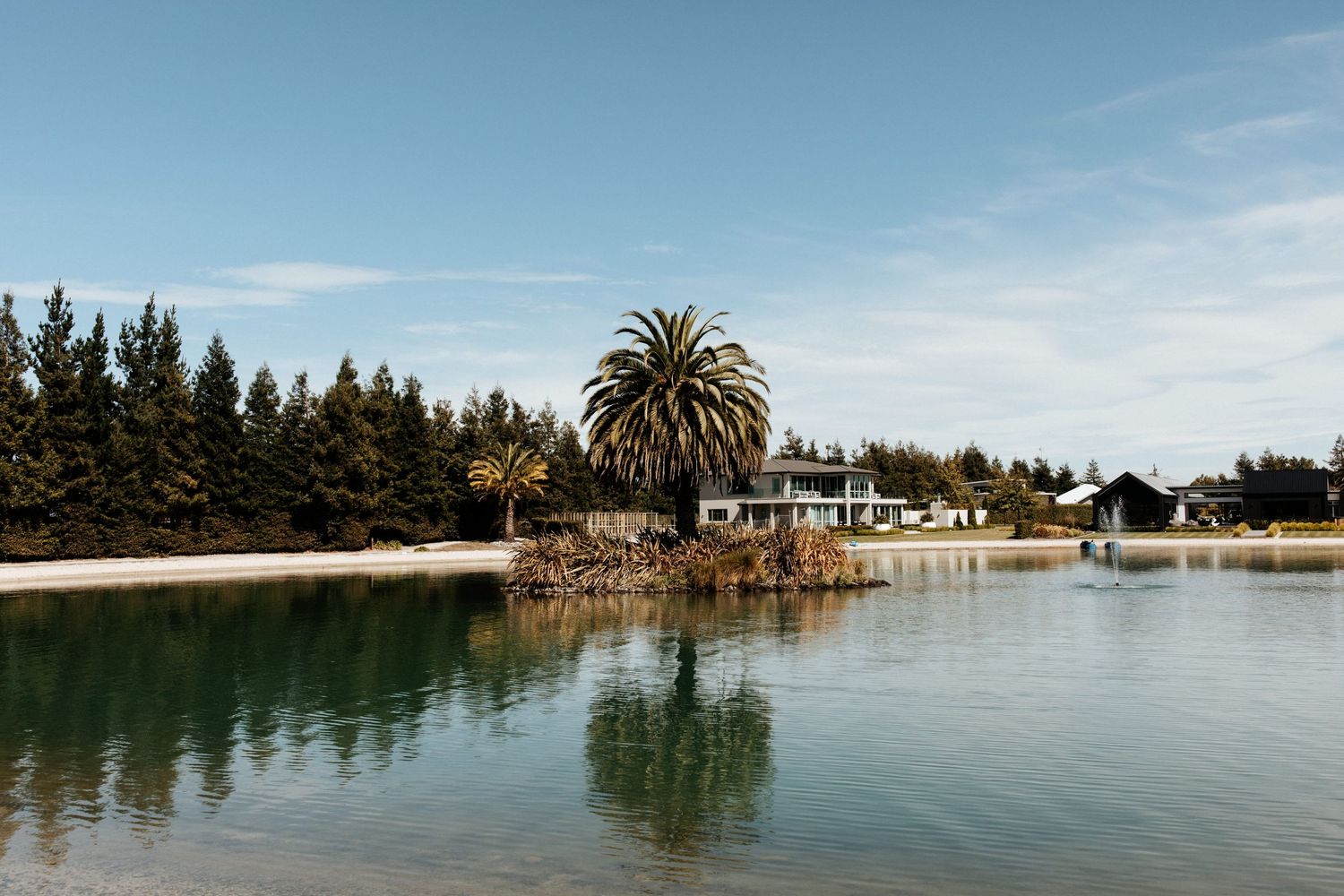 Serene lakeside view with palm tree and residential buildings reflecting in calm water.