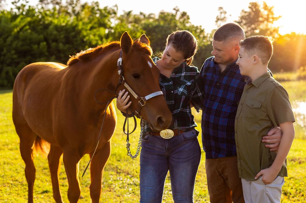 A group admiring and petting a brown horse in a sunlit field at sunset.