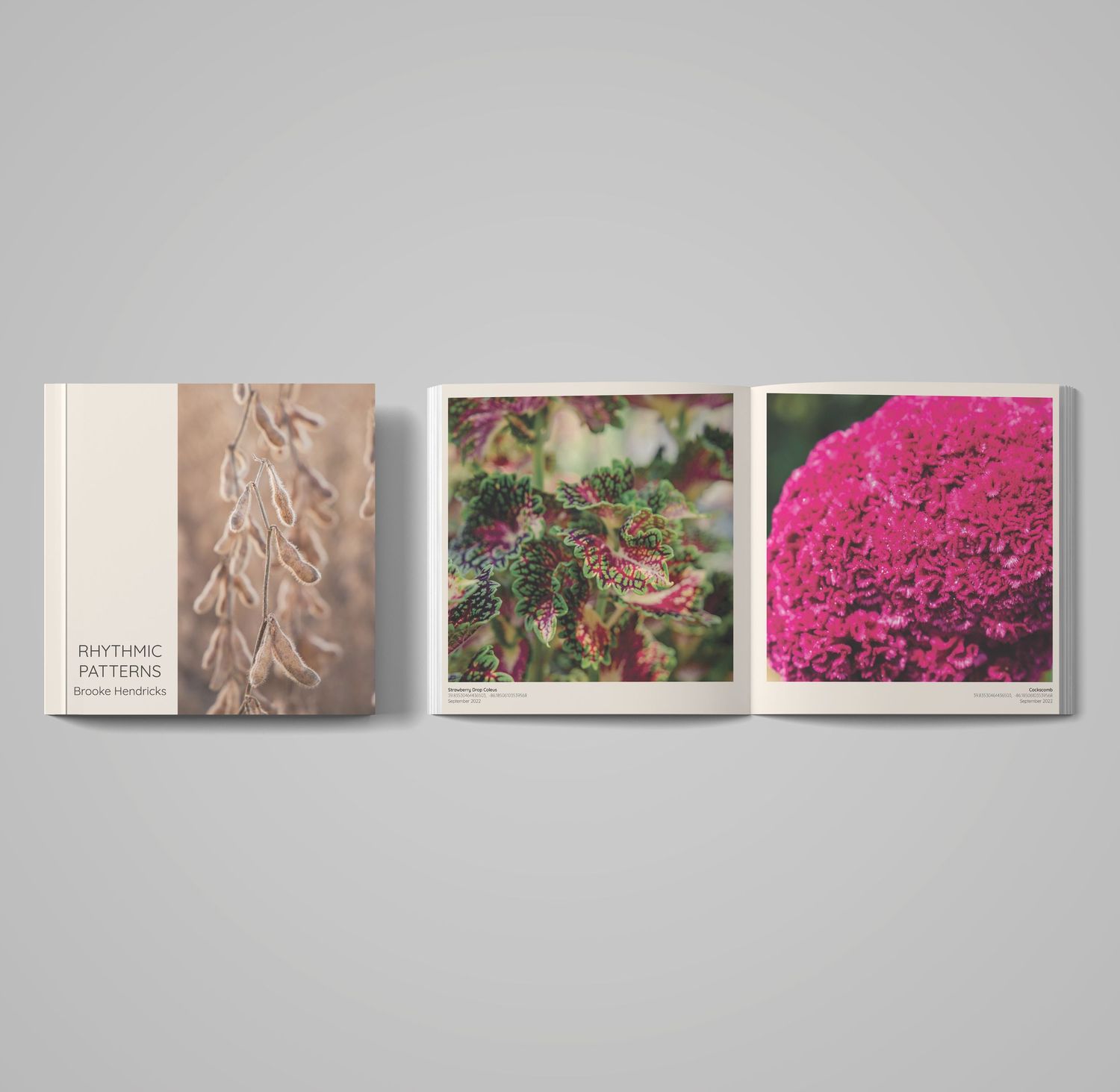 Triptych photo book layout showing natural textures and pink flowers.