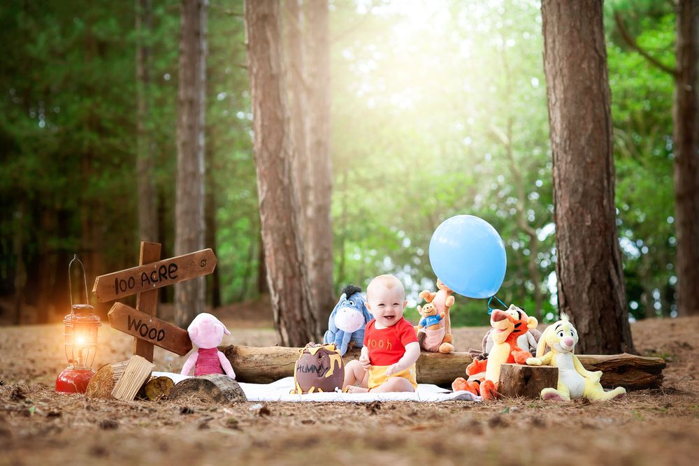 winnie the pooh cake smash in formby woods for 1st birthday