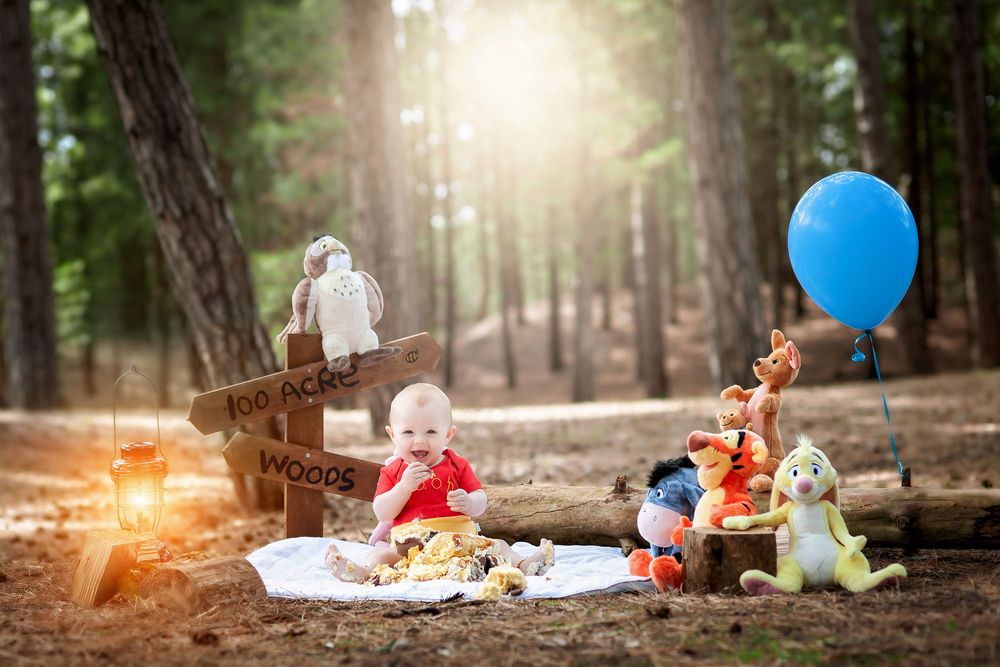 winnie the pooh cake smash in formby woods for 1st birthday