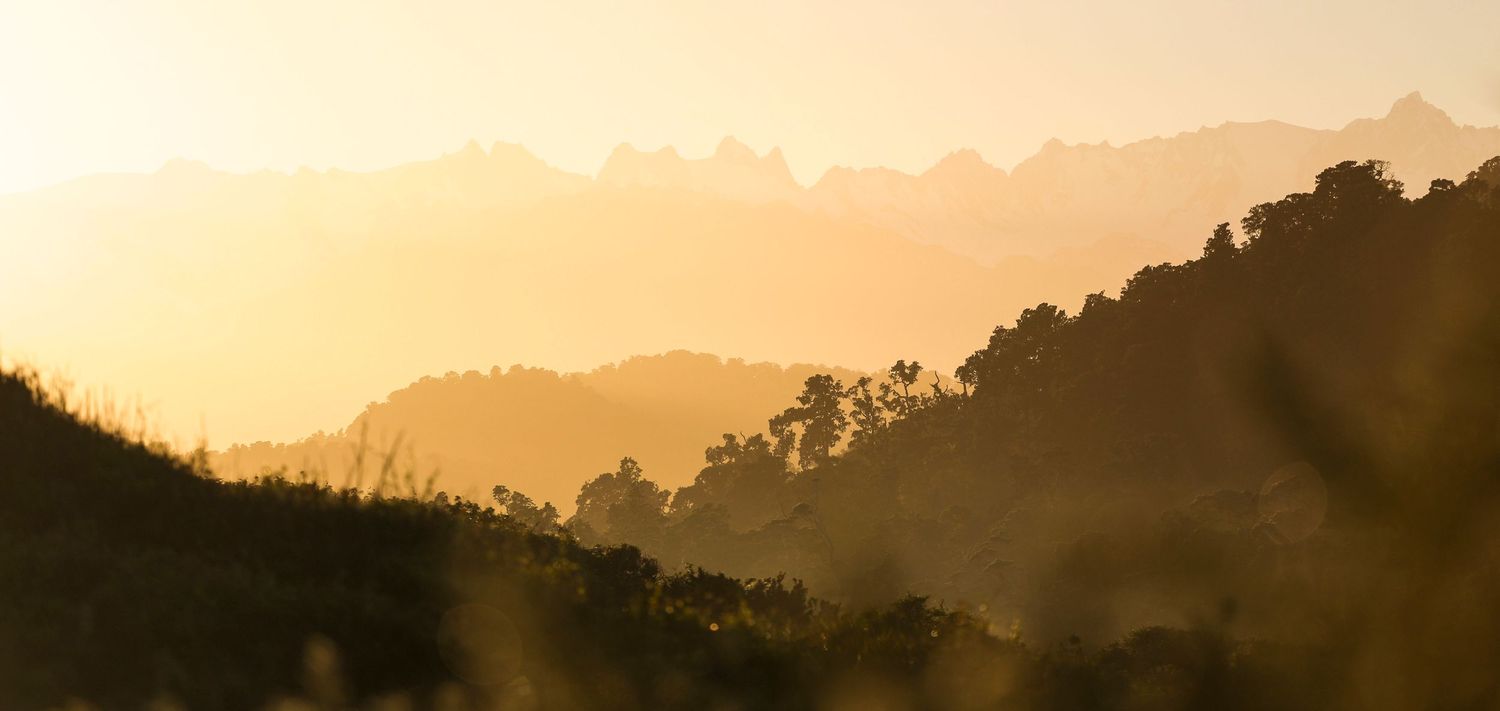 West coast mountains, New Zealand