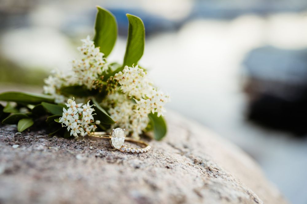 Wedding rings resting on rock with delicate white flowers and greenery.