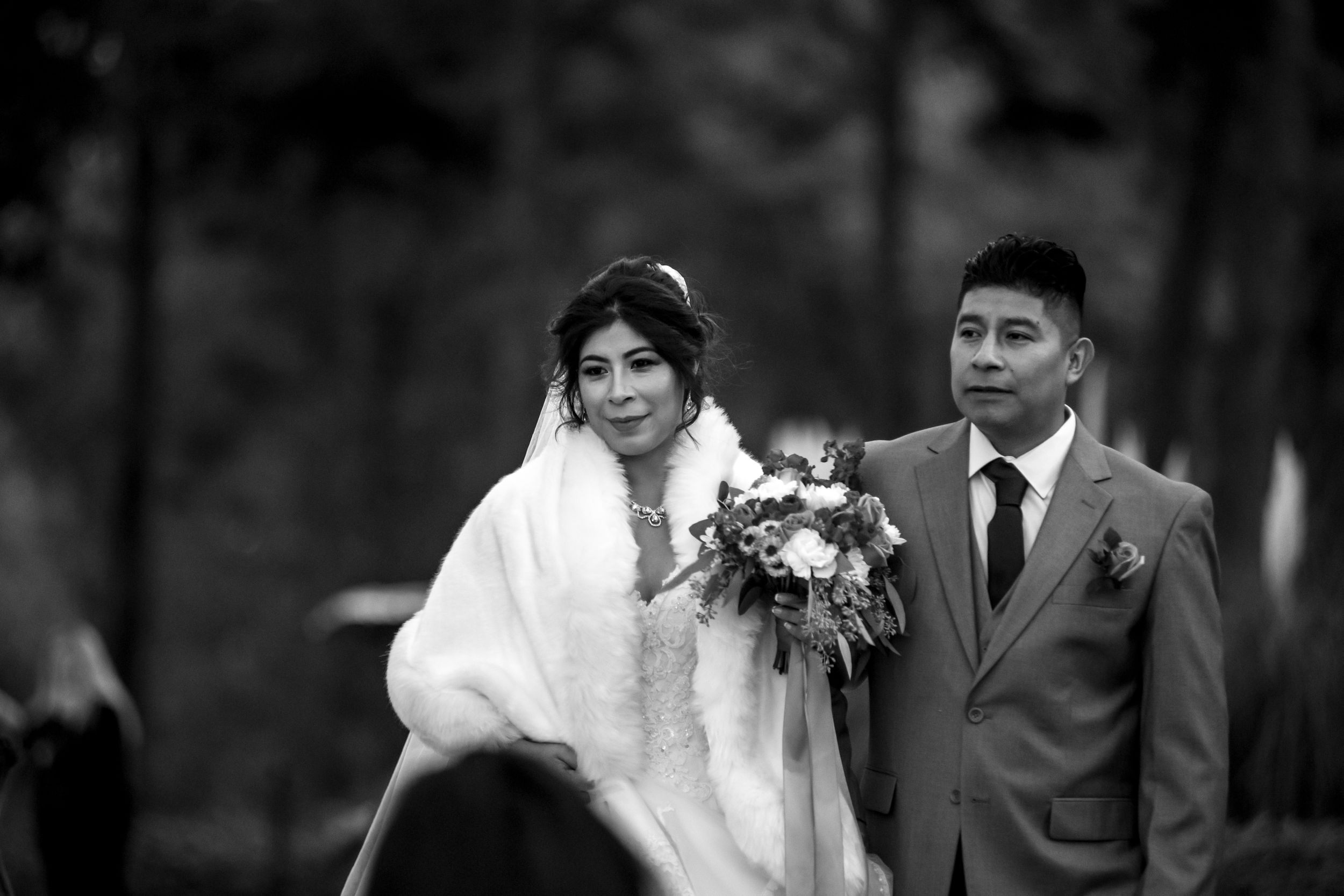 Wedding Portraits