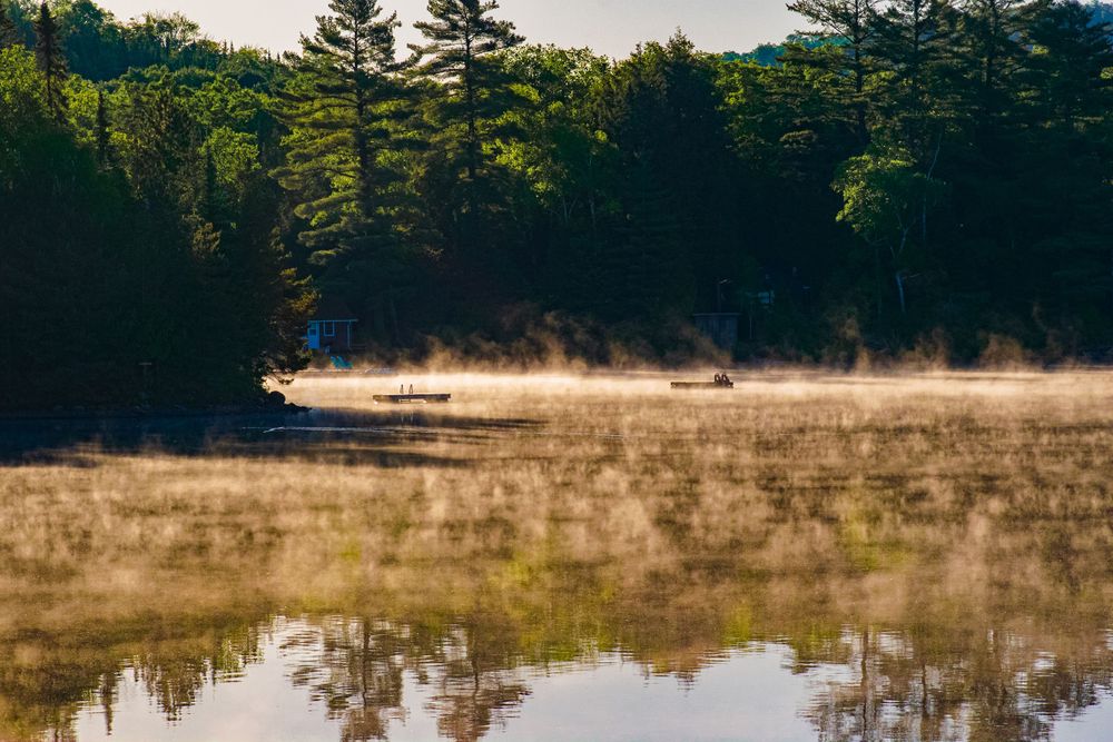 Misty morning lake surrounded by pine trees reflecting the early dawn light.