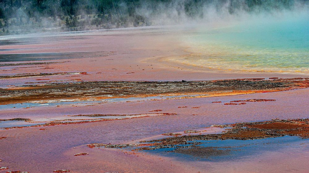 Colorful mineral deposits and steam surround the edges of a vibrant geothermal hot spring.