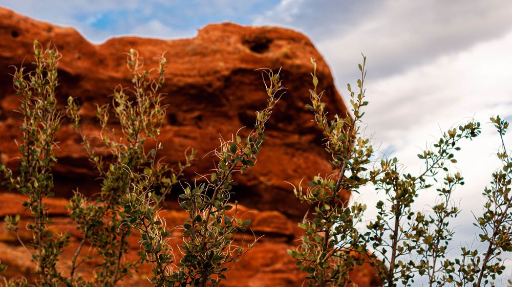 Red sandstone rock formations contrast against bright blue sky with white clouds.