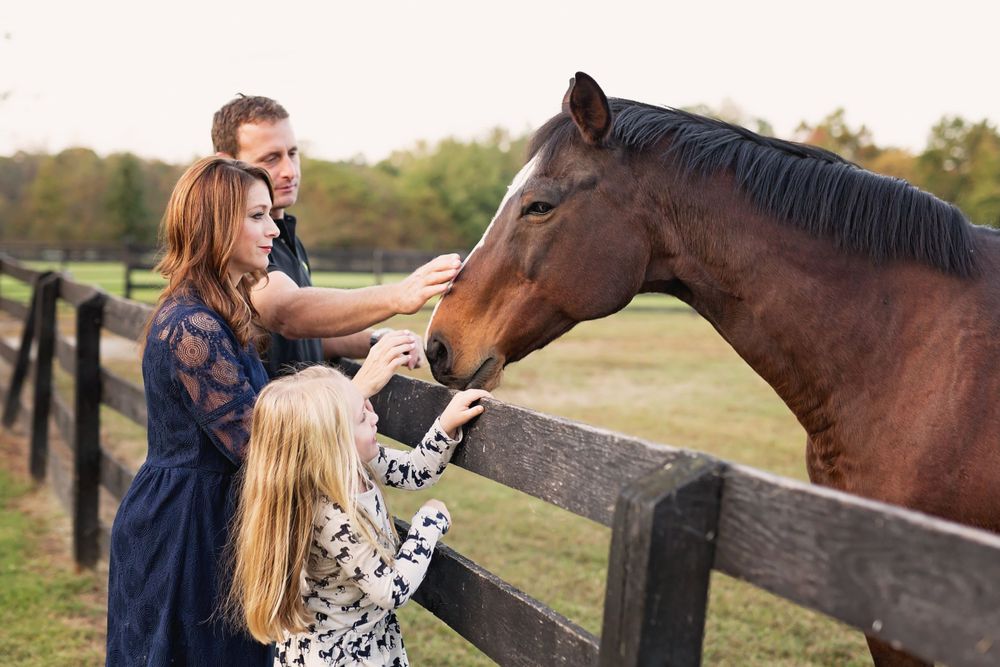 A brown horse receives attention from visitors at a wooden fence in a pastoral setting.