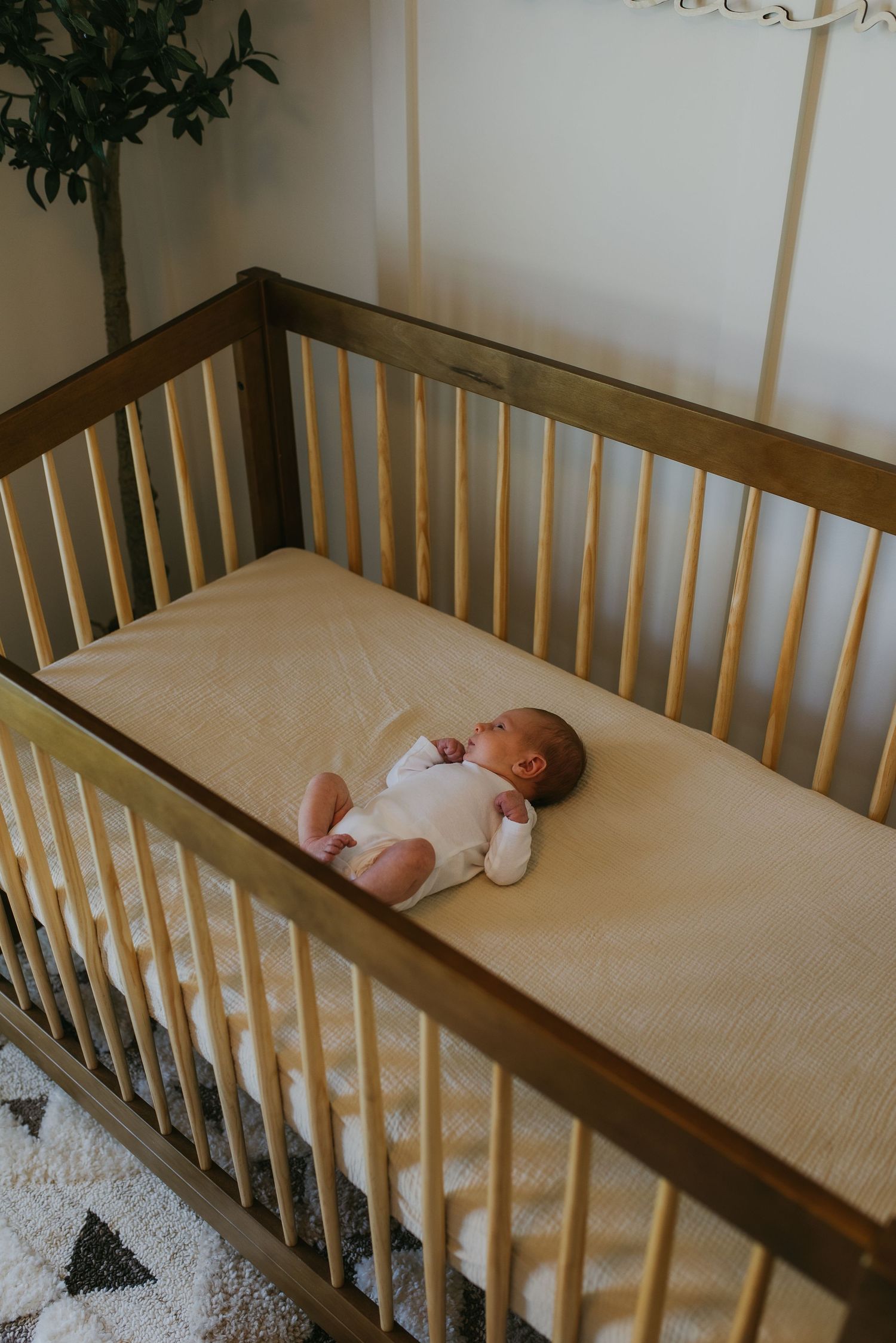 knoxville newborn photos