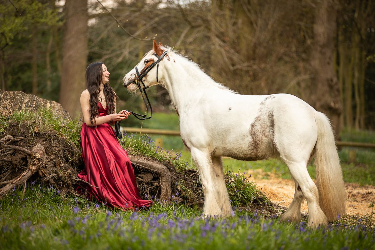 A white draft horse stands in a field of bluebells with someone in a flowing red dress.