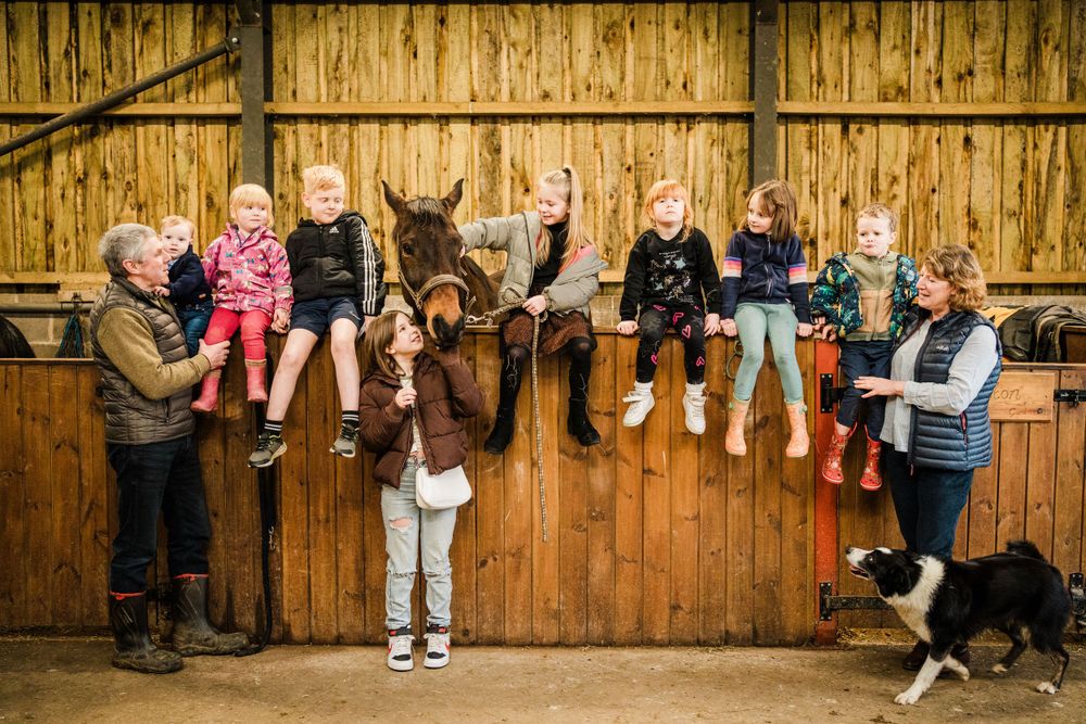 A couple and all their grandchildren sitting along the horse's stable with the horse looking over.