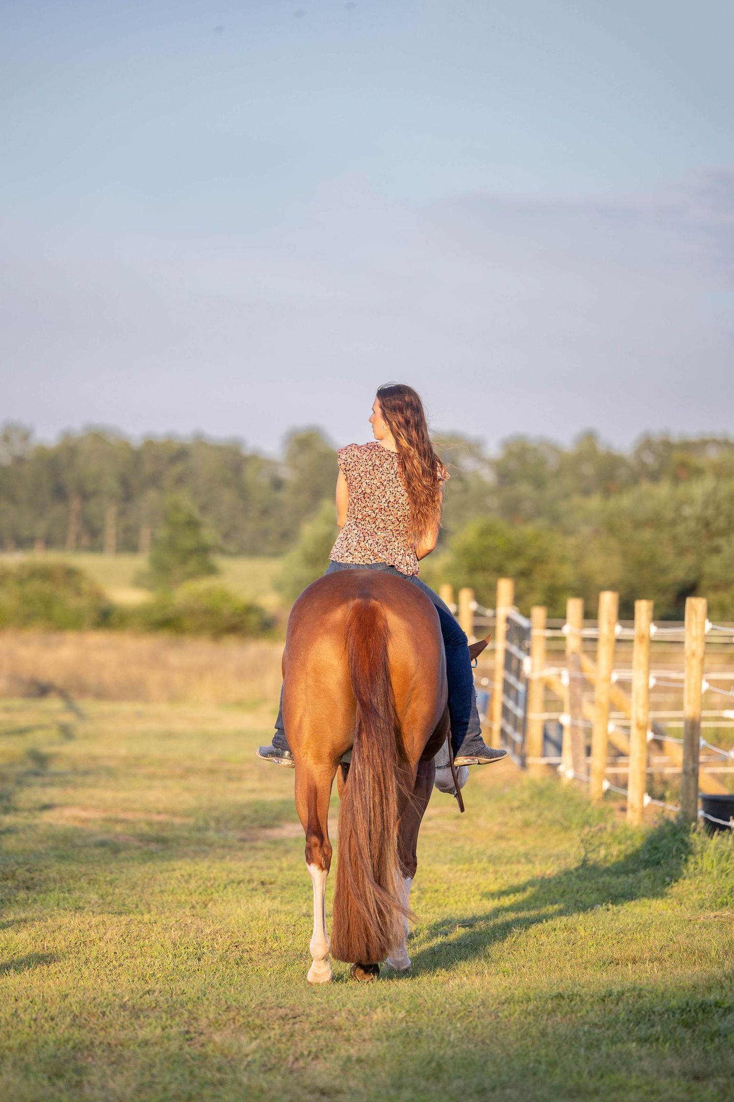 Madison Mulder at Dalton Performance Horses