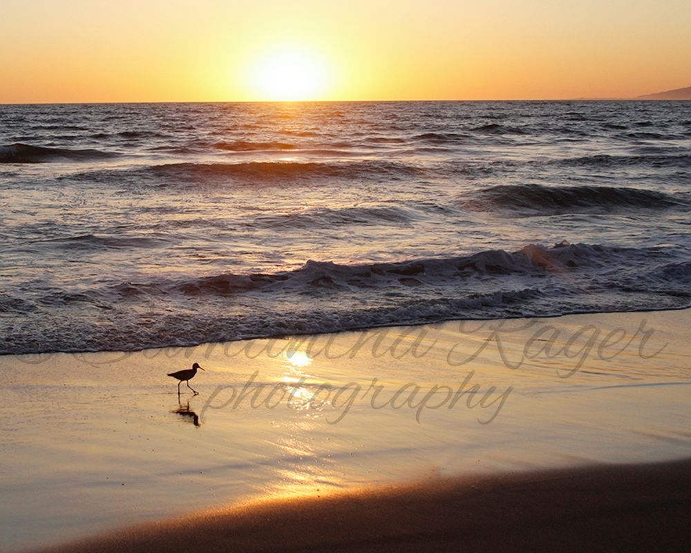 "Dockweiler Piper" - Dockweiler Beach