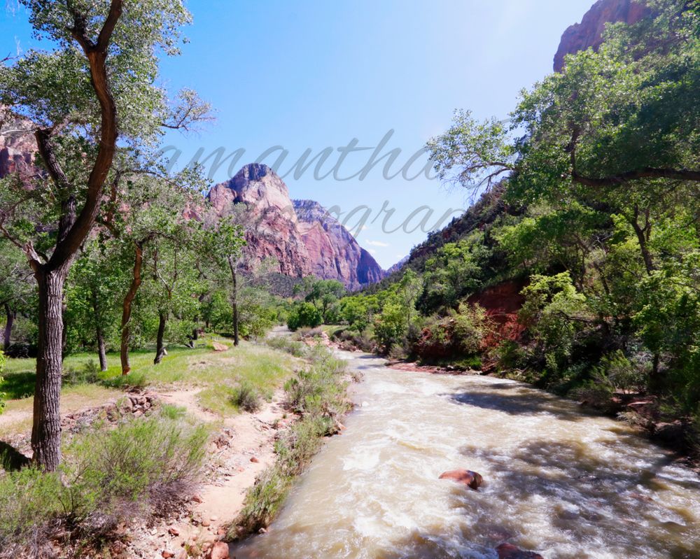 "Zion Watchman" - Zion National Park