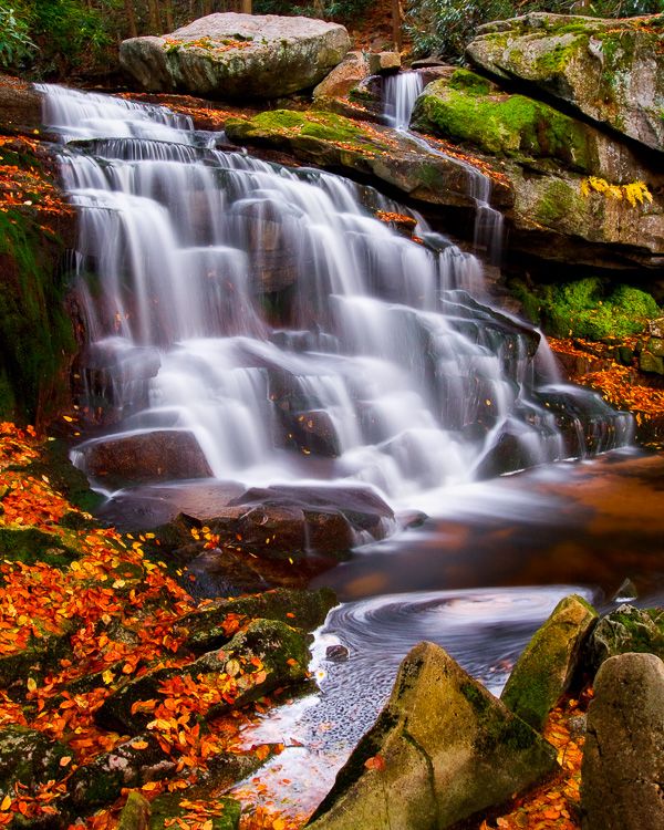 Elakala Falls in autumn with fall leaves in West Virginia