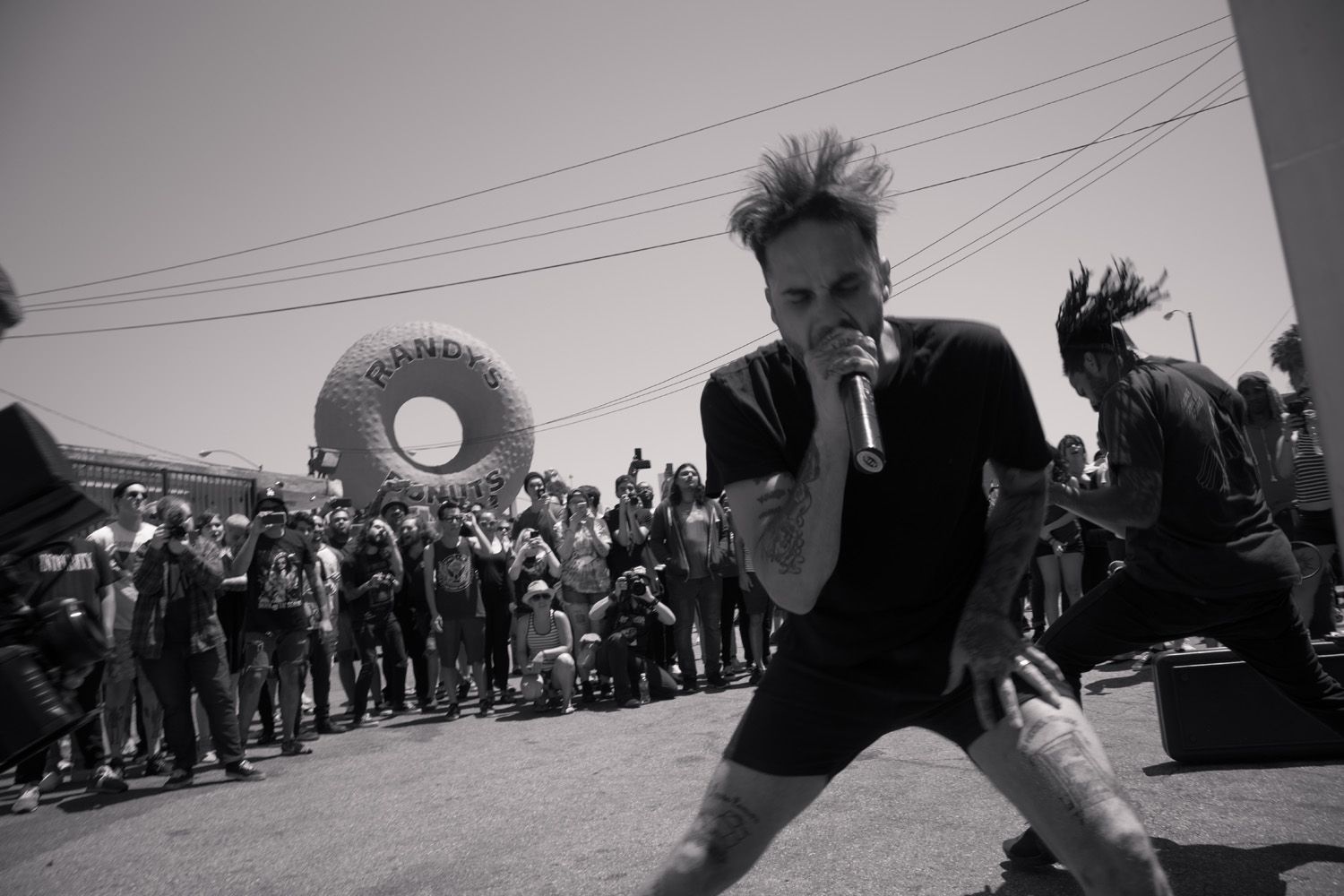 The Fever 333