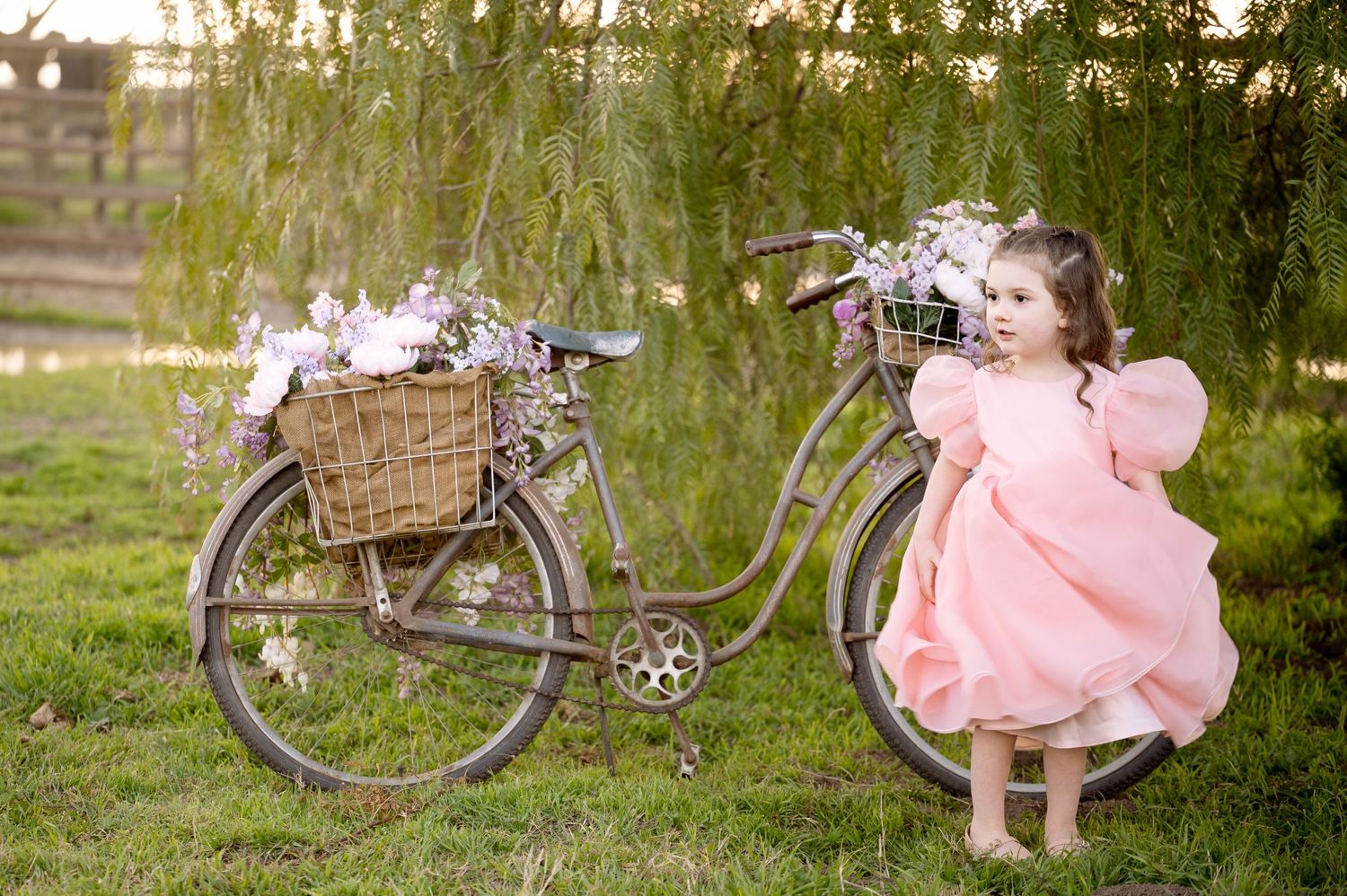 Antique bicycle adorned with flowers beside someone in a flowing pink dress under willow trees.