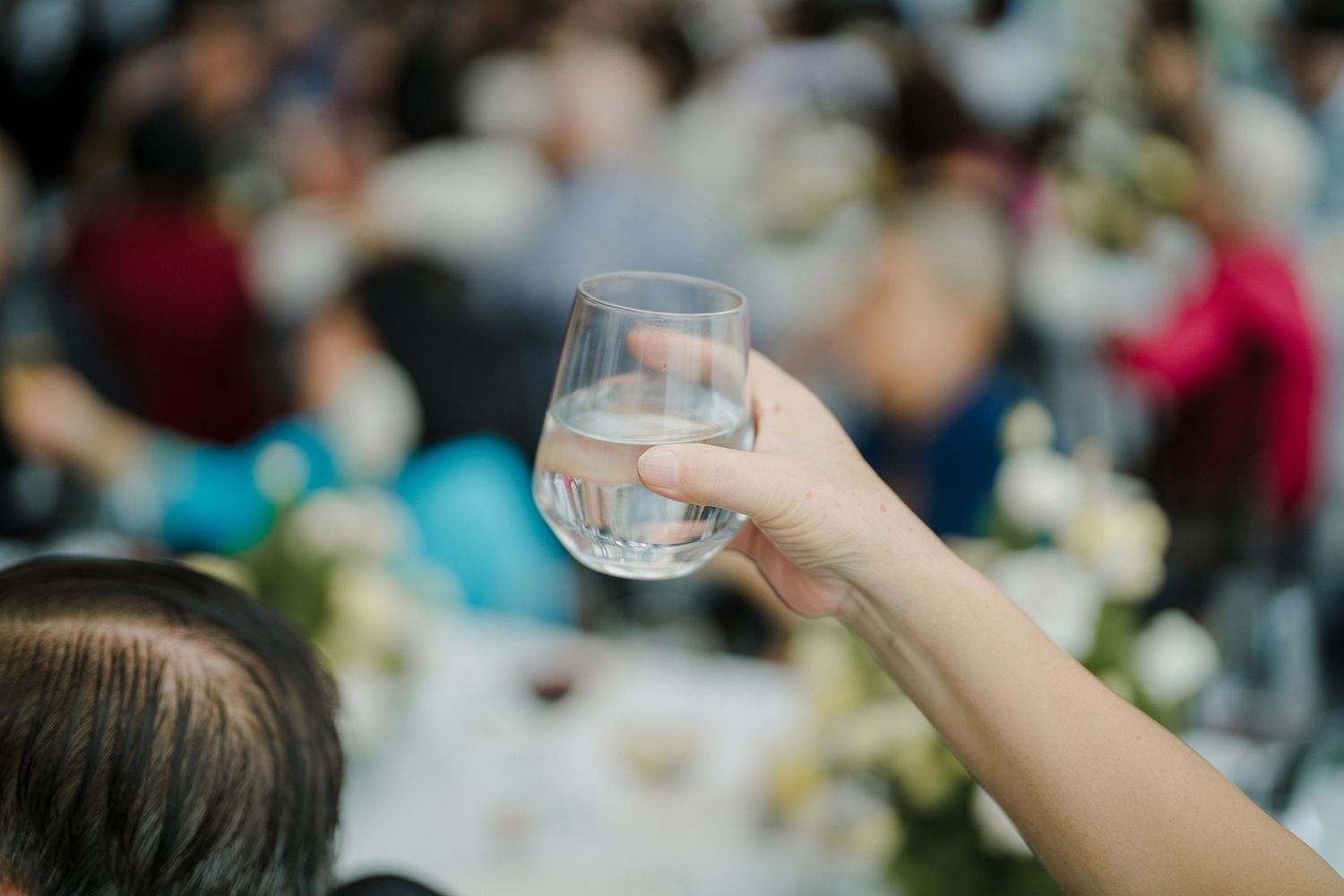Wedding reception guests raise glasses in a toast during celebration.