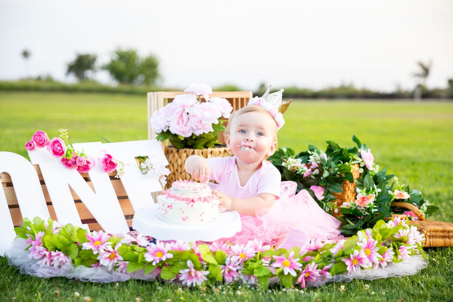 birthday photoshoot with Baby girl in pink tutu sitting with birthday cake next to ONE sign in a garden setting.