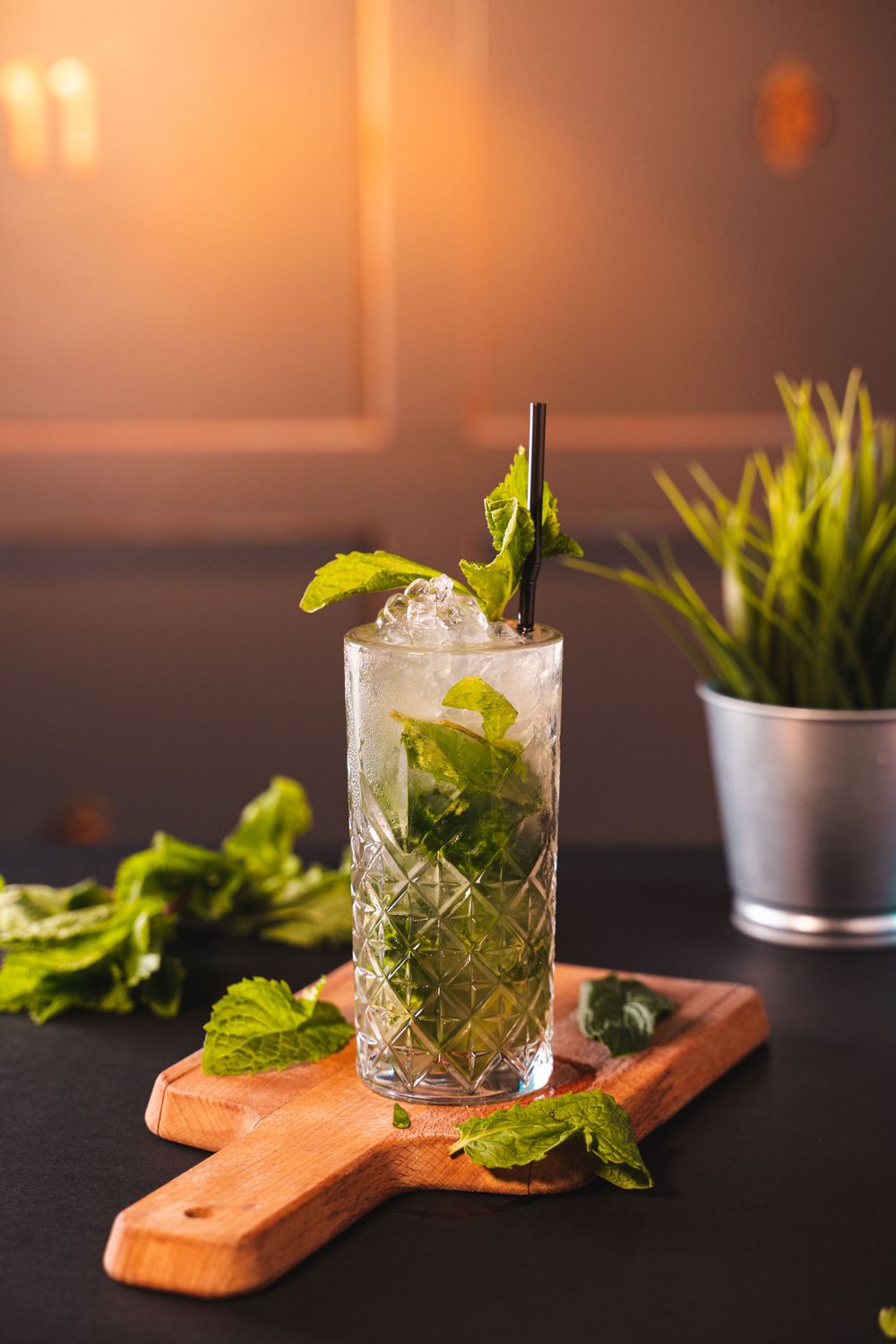 Food photography