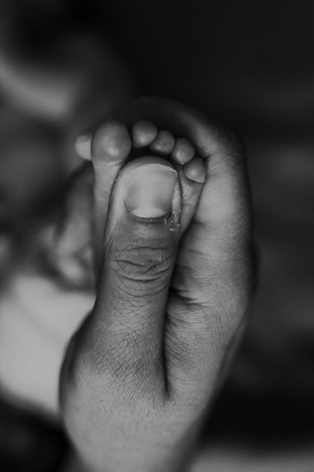 A detailed black and white image of a father's thumb pressed into bottom of his son's foot.