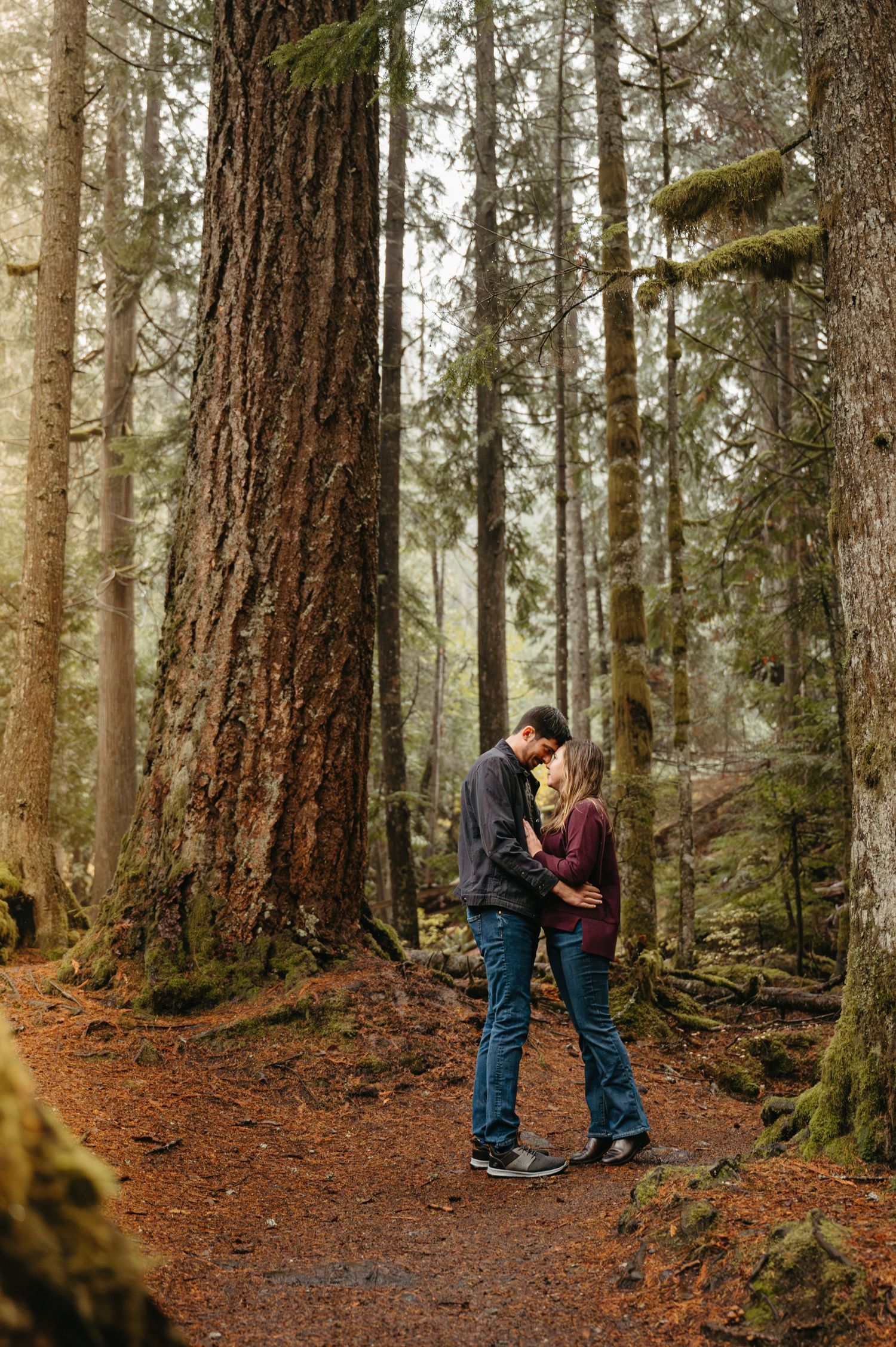 Romantic forest engagement photos among tall evergreen trees with moss-covered ground.