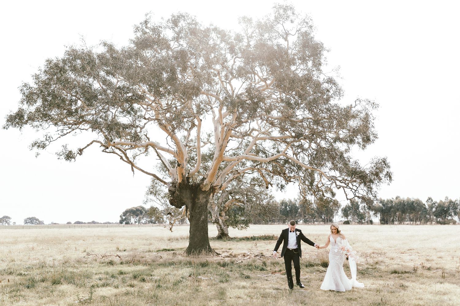 Minimalist wedding photography featuring couple beneath large tree in open field.