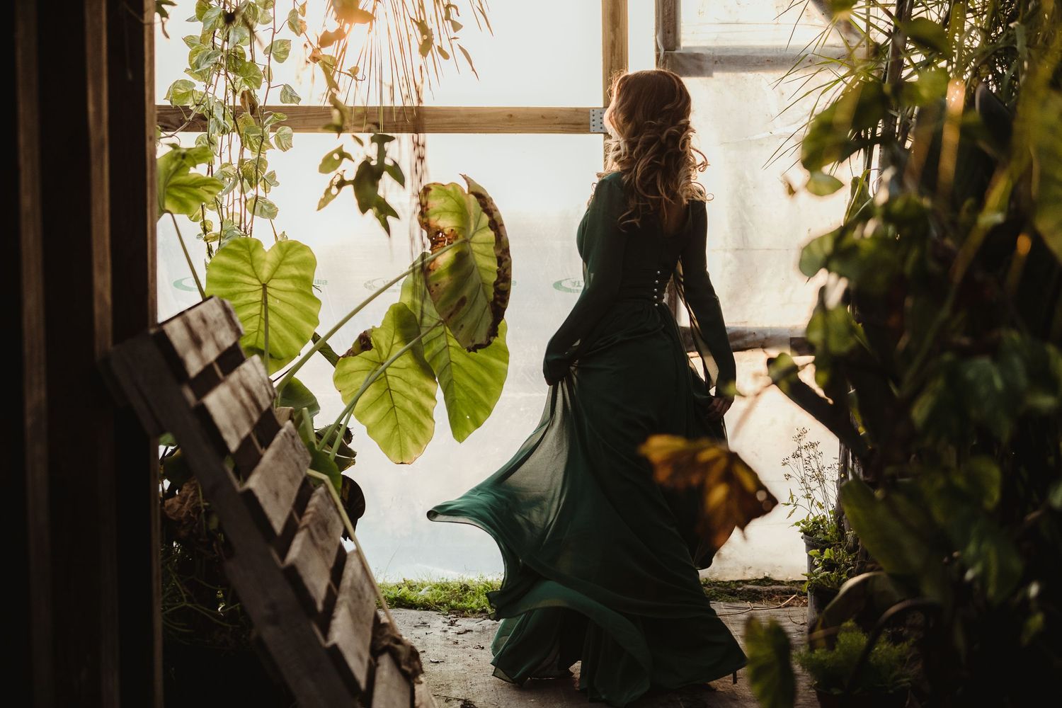 Artistic silhouette of people among plants and windows in greenhouse setting.
