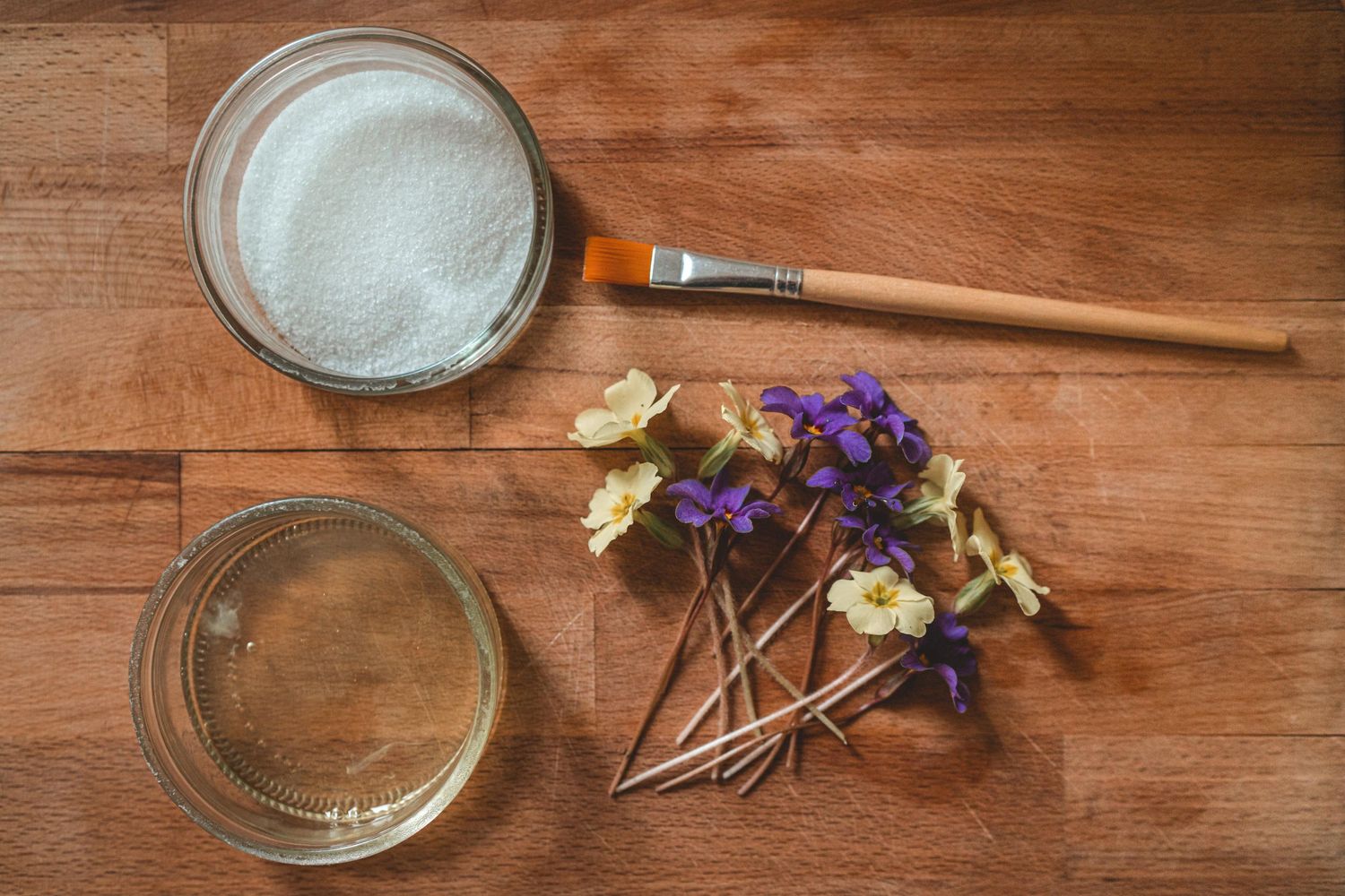 The Grizzly Forager: The Definitive Guide to Foraging with Kids