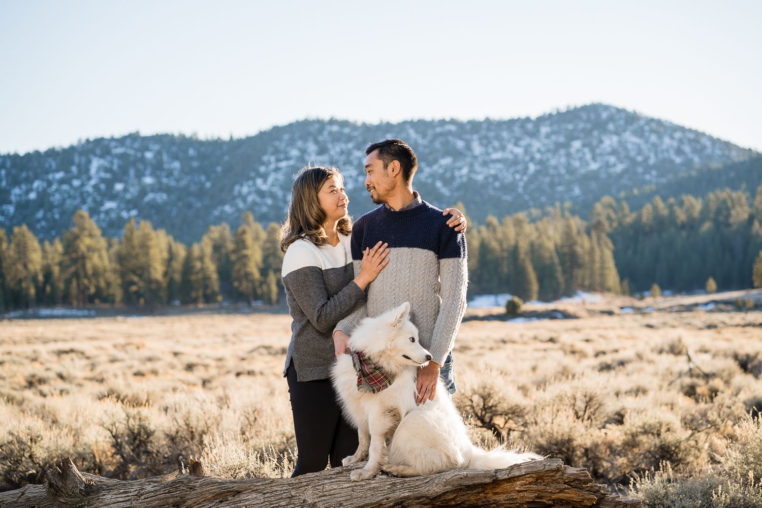 Couple poses together in mountain meadow with snowy peaks in background.